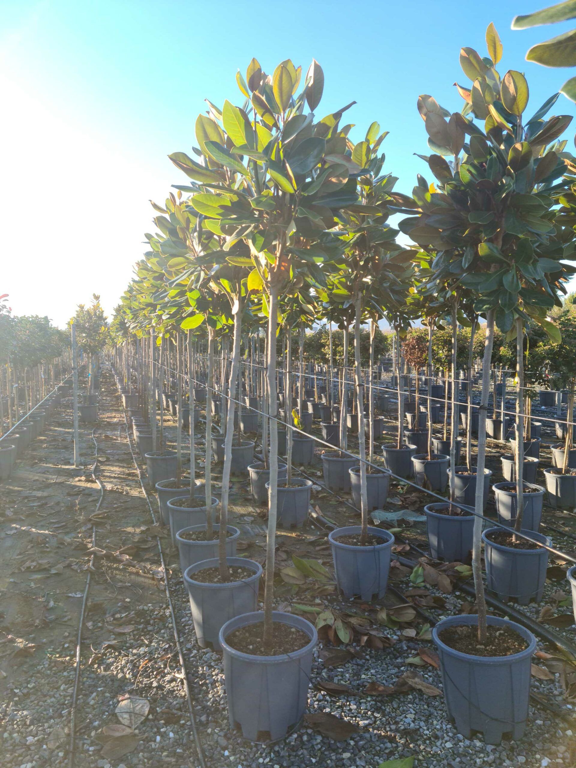 1639642659 scaled d04b0a7e