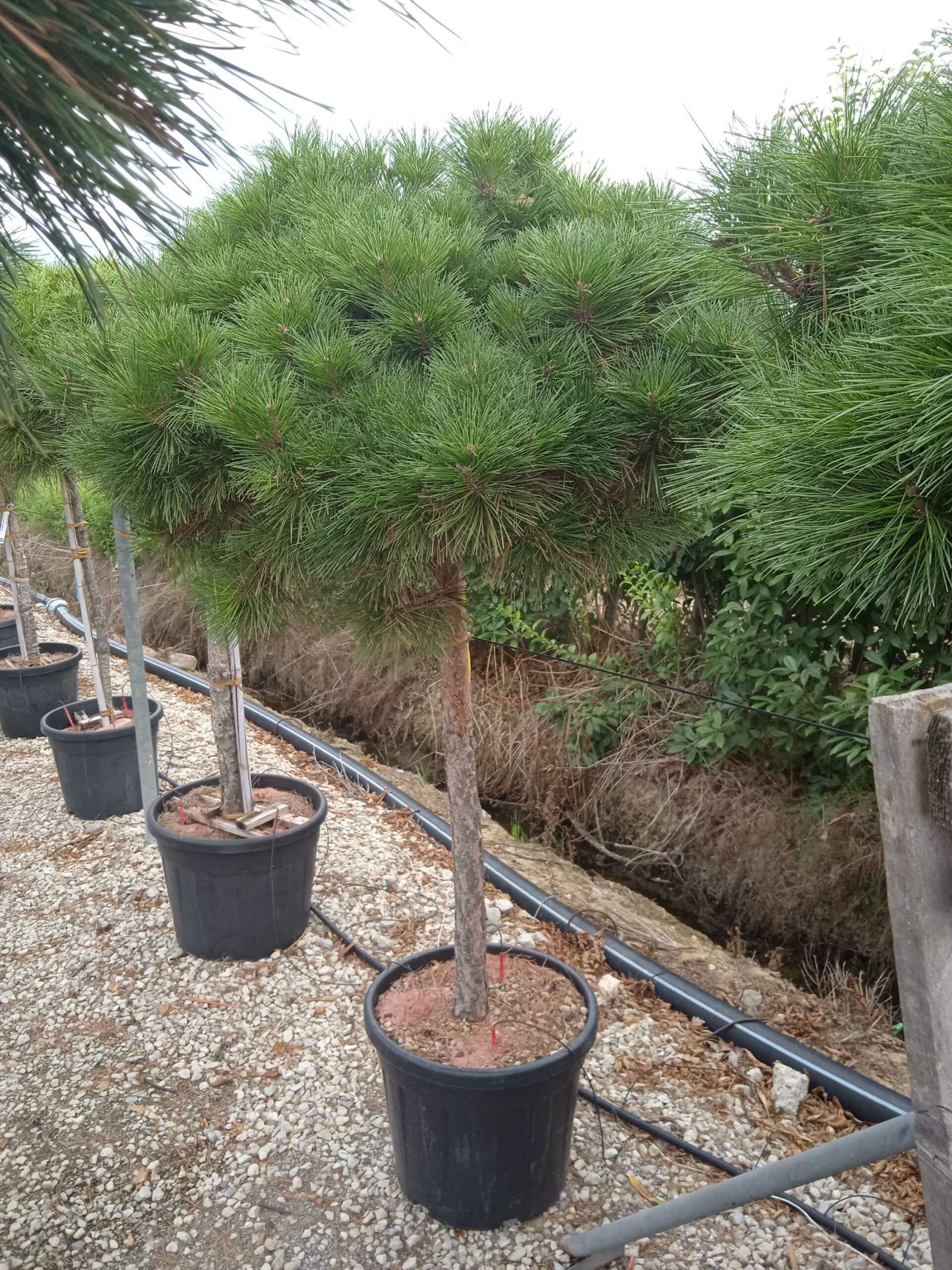 1661955338 scaled d0709b1a