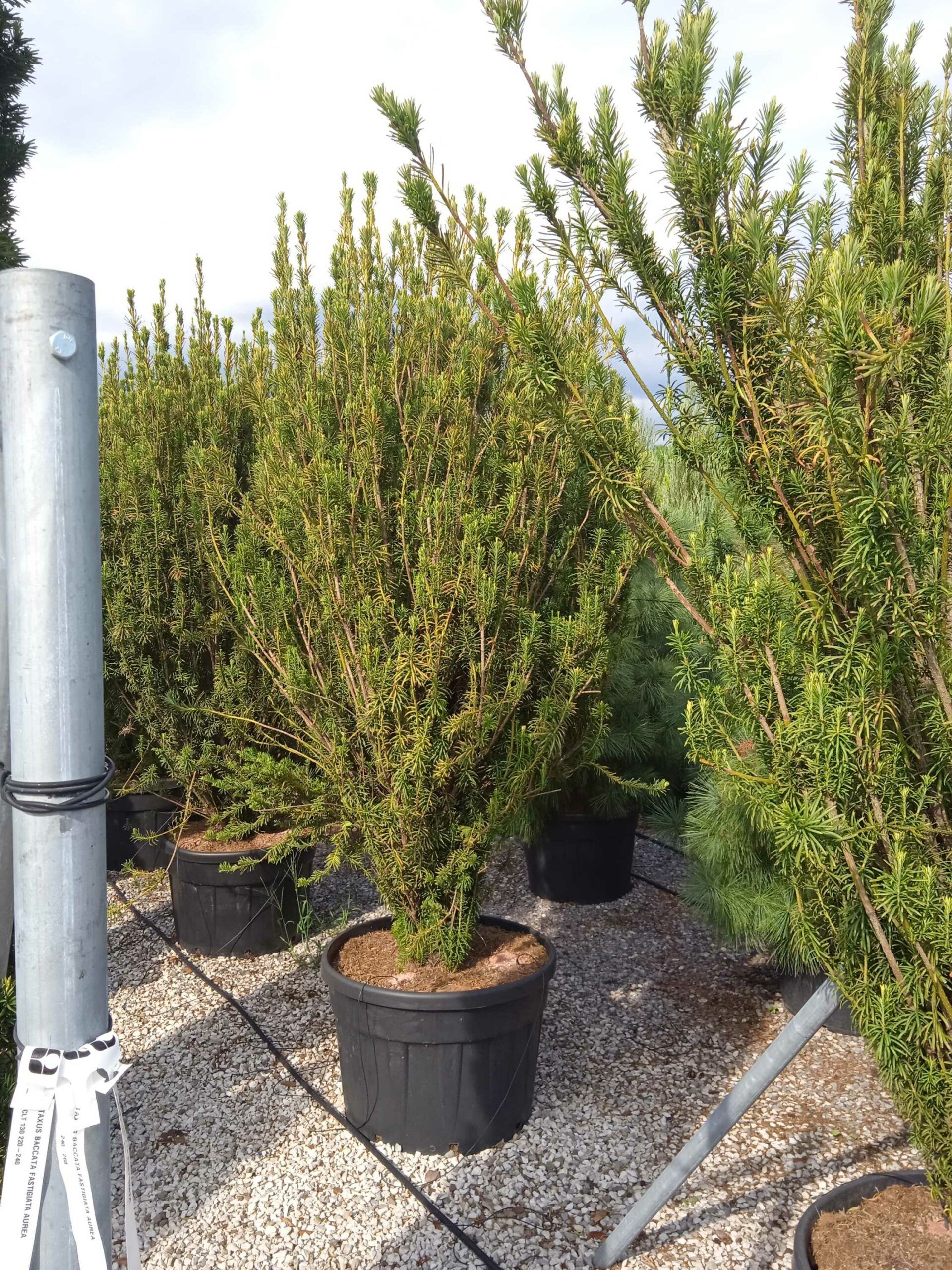 1662128965 scaled d04ea135