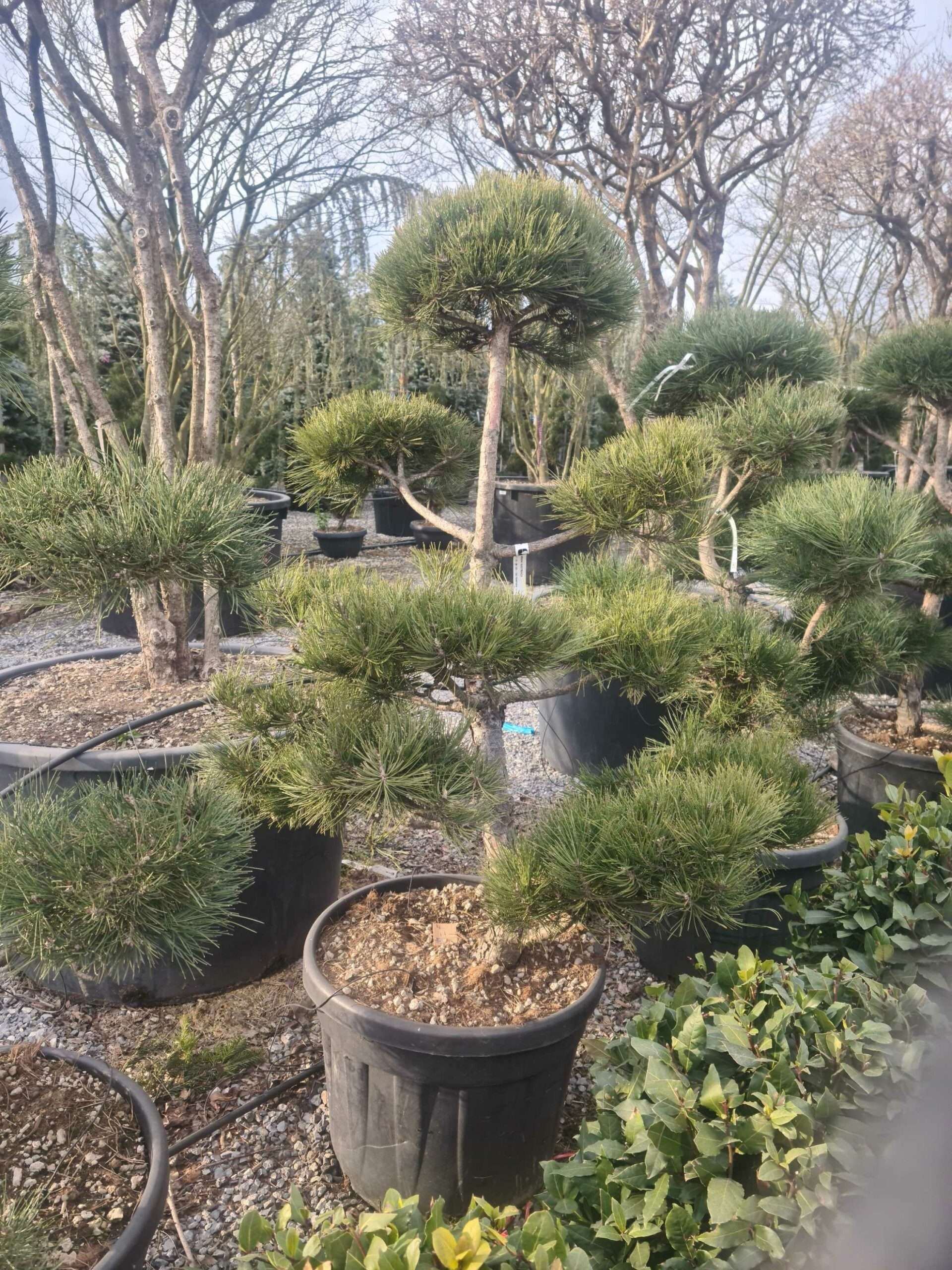 1675435448 scaled d0ce4261