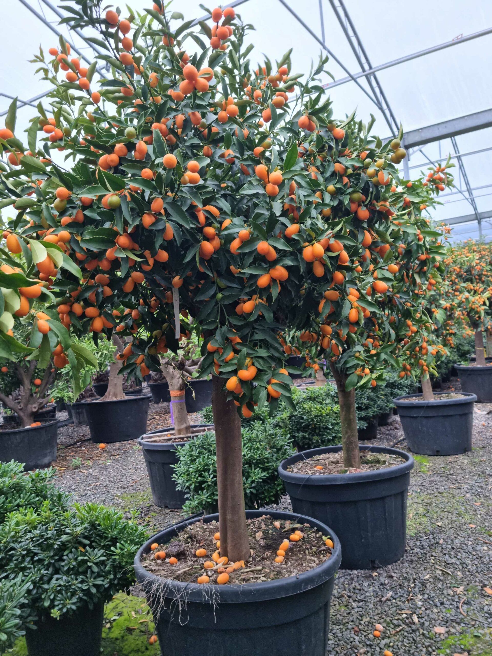 1677831533 scaled d03742f1