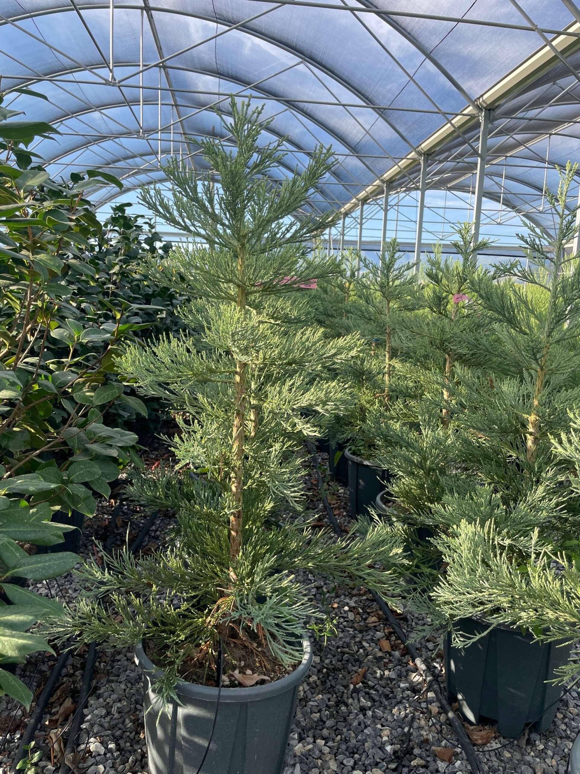 1691511875 scaled d089b586