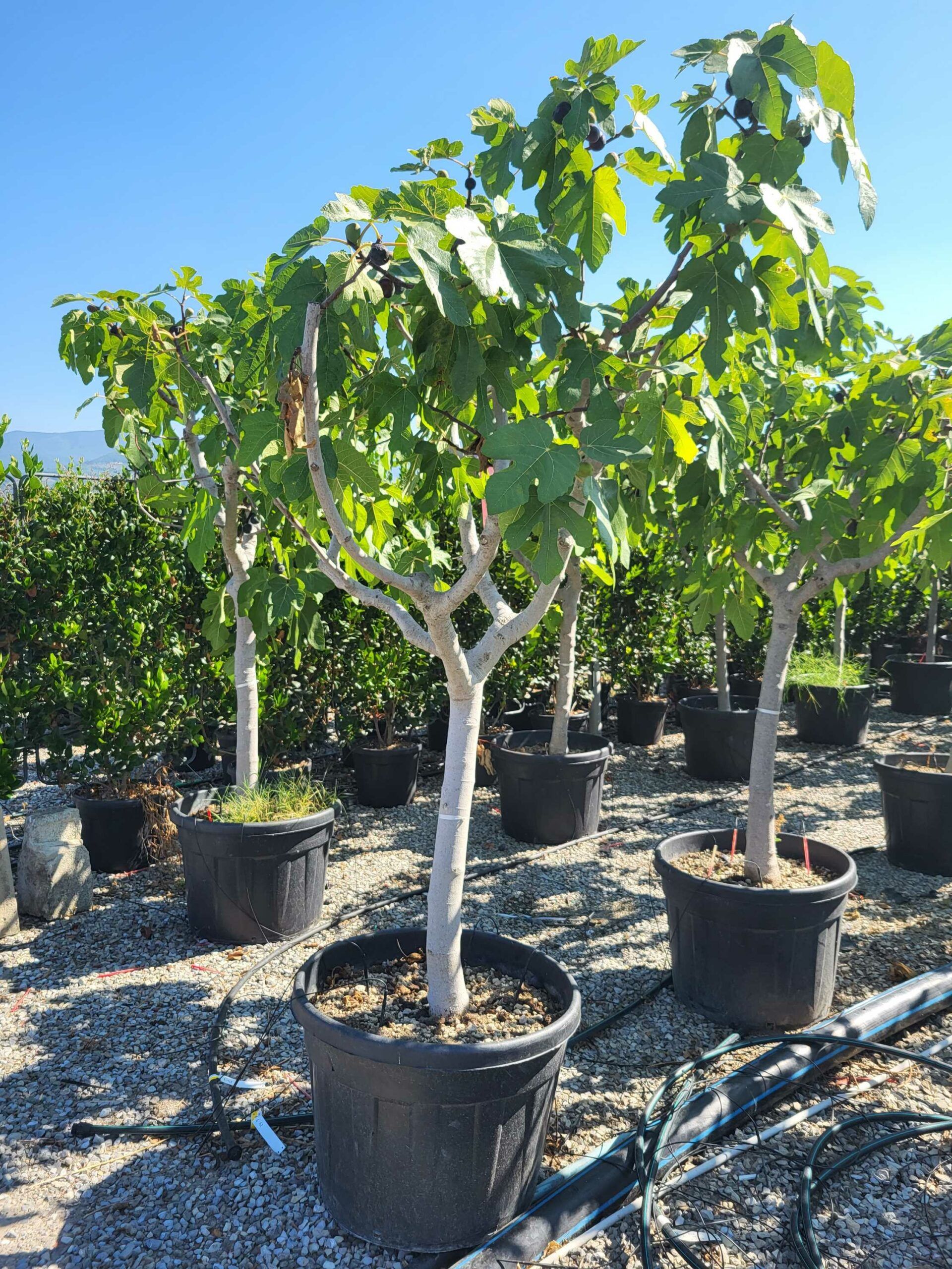 1692693049 scaled d00a8439