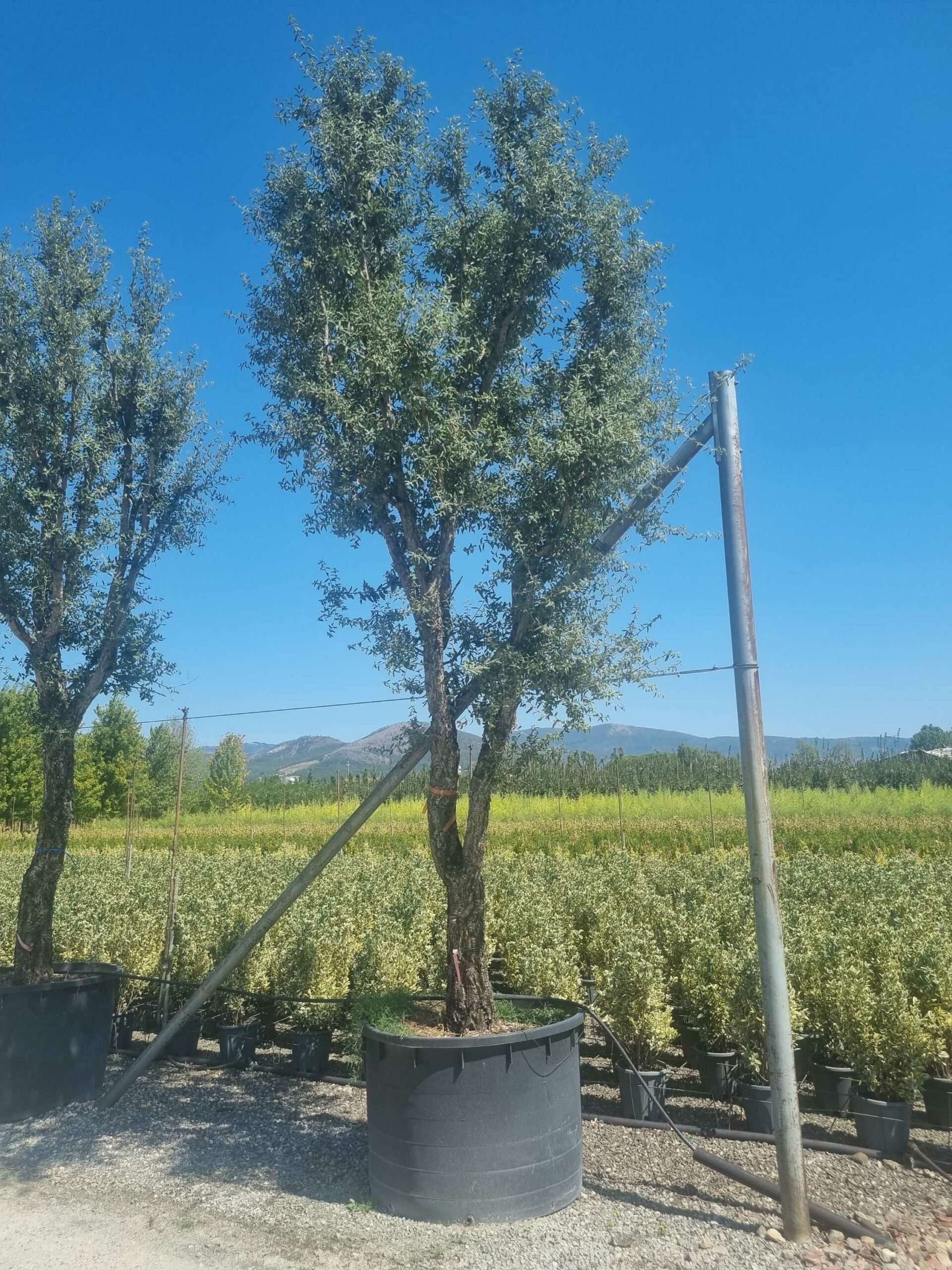 1692794360 scaled d020a479