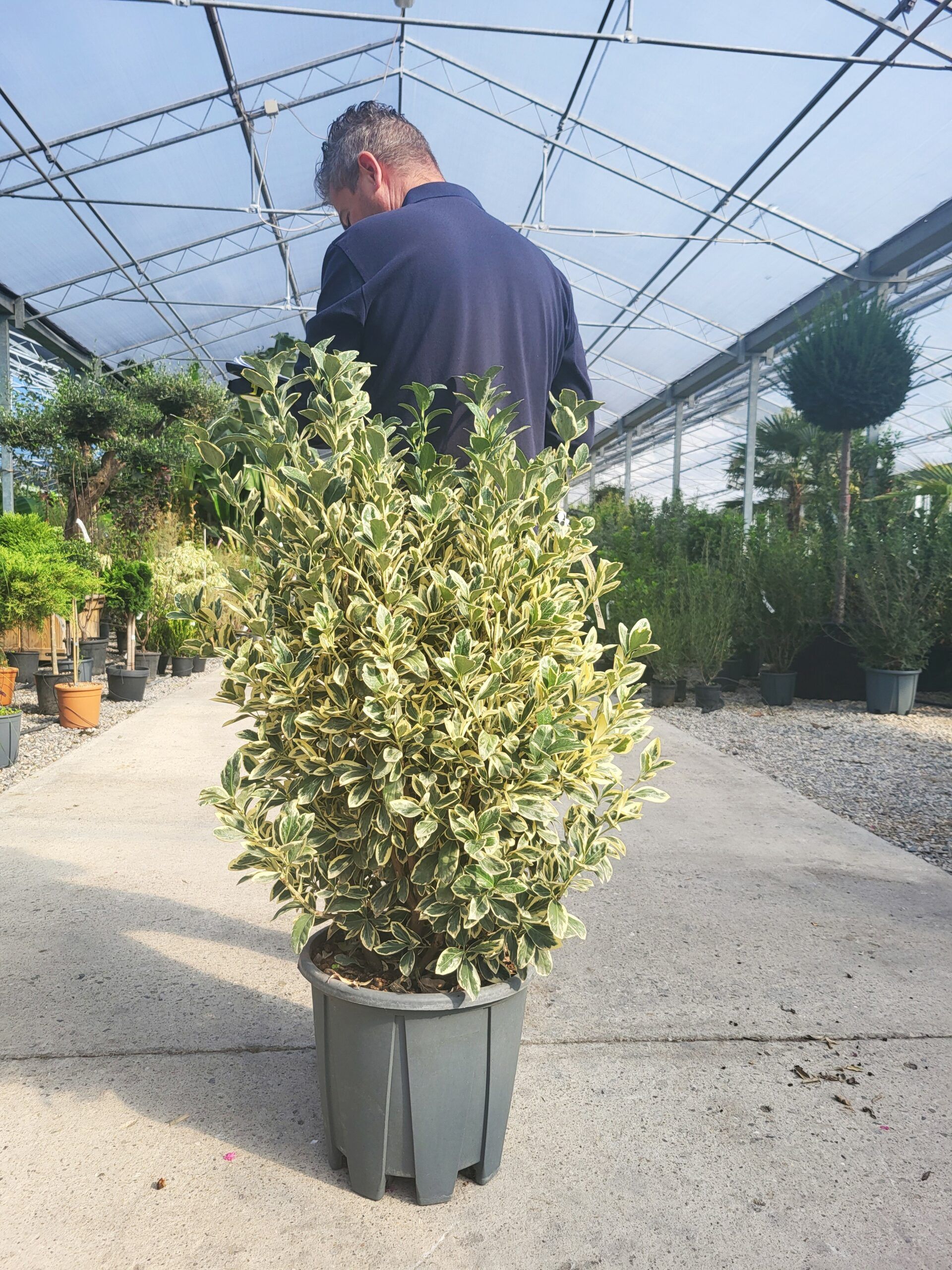 1696397922 scaled d042e46f