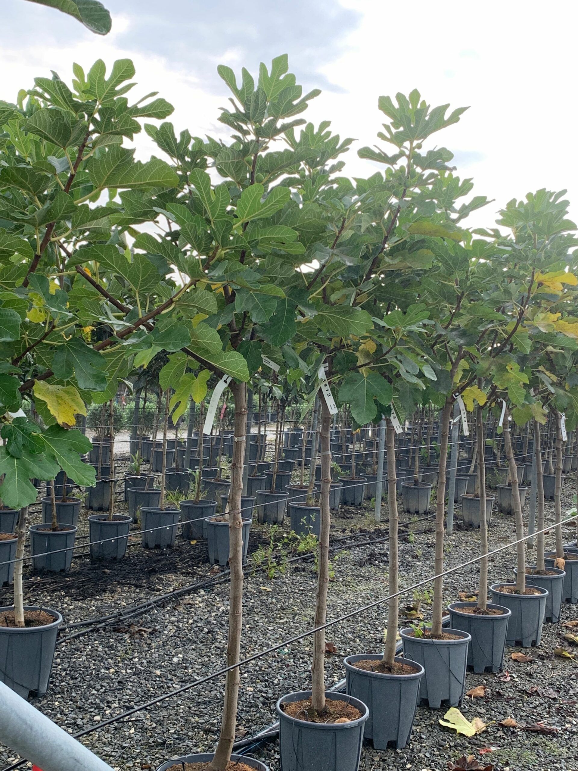 1633341523 scaled d18dc449