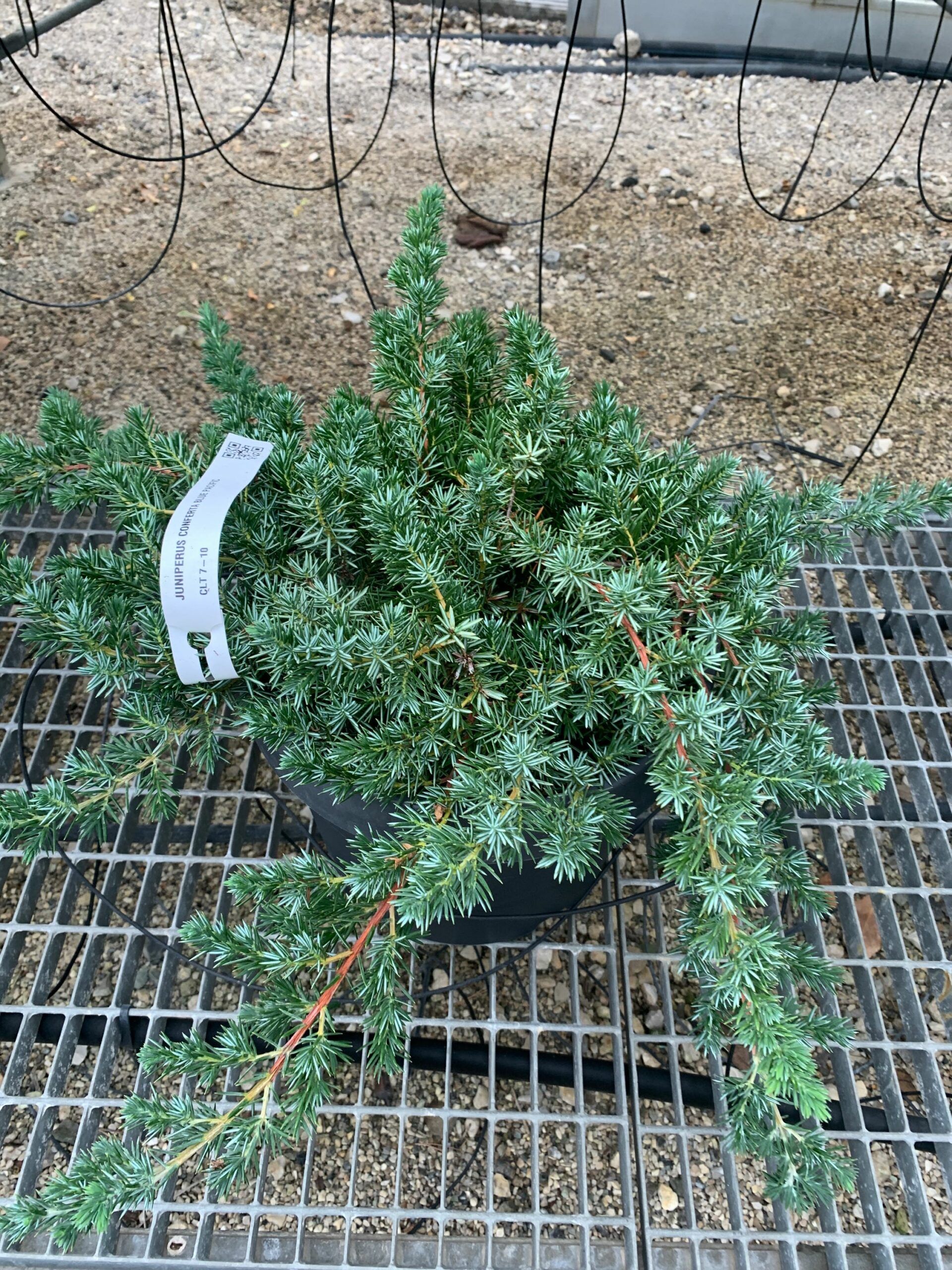 1637829057 scaled d183ec99