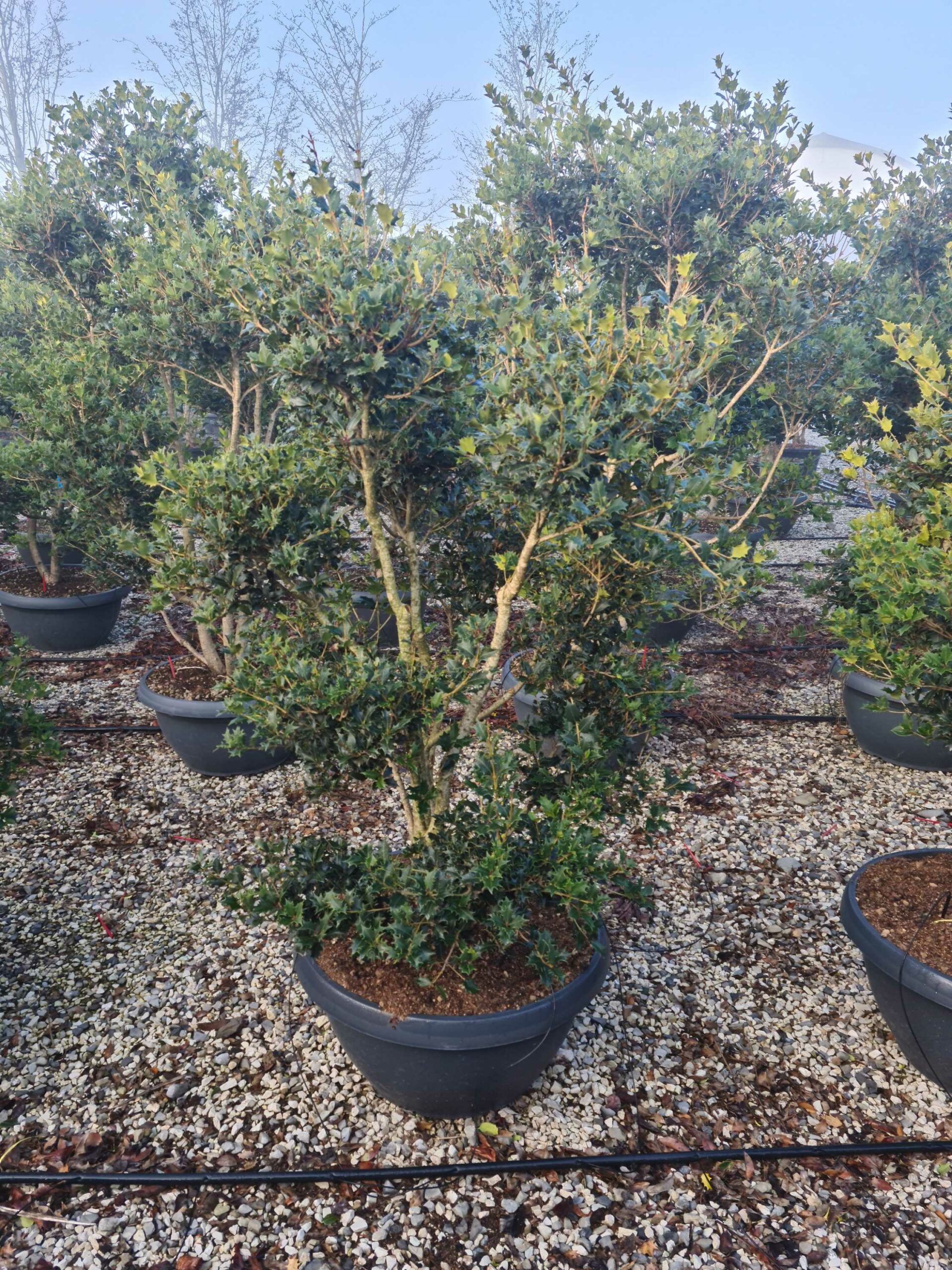 1642753302 scaled d1749cd8