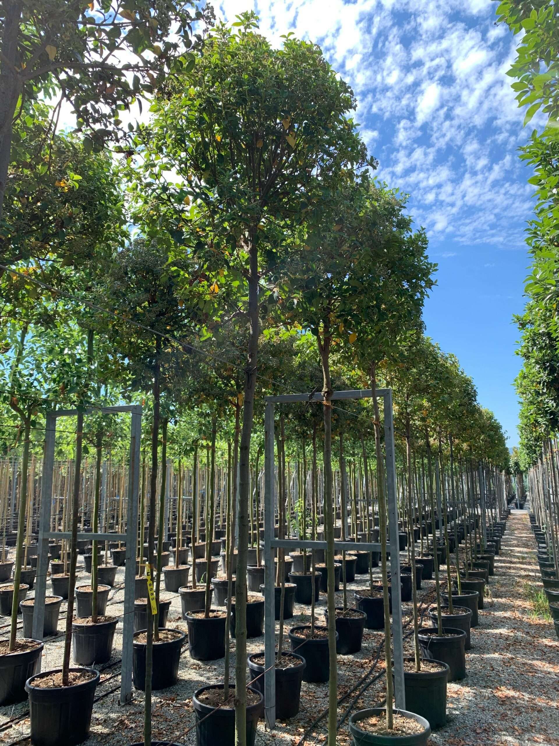 1657528614 scaled d11897c2