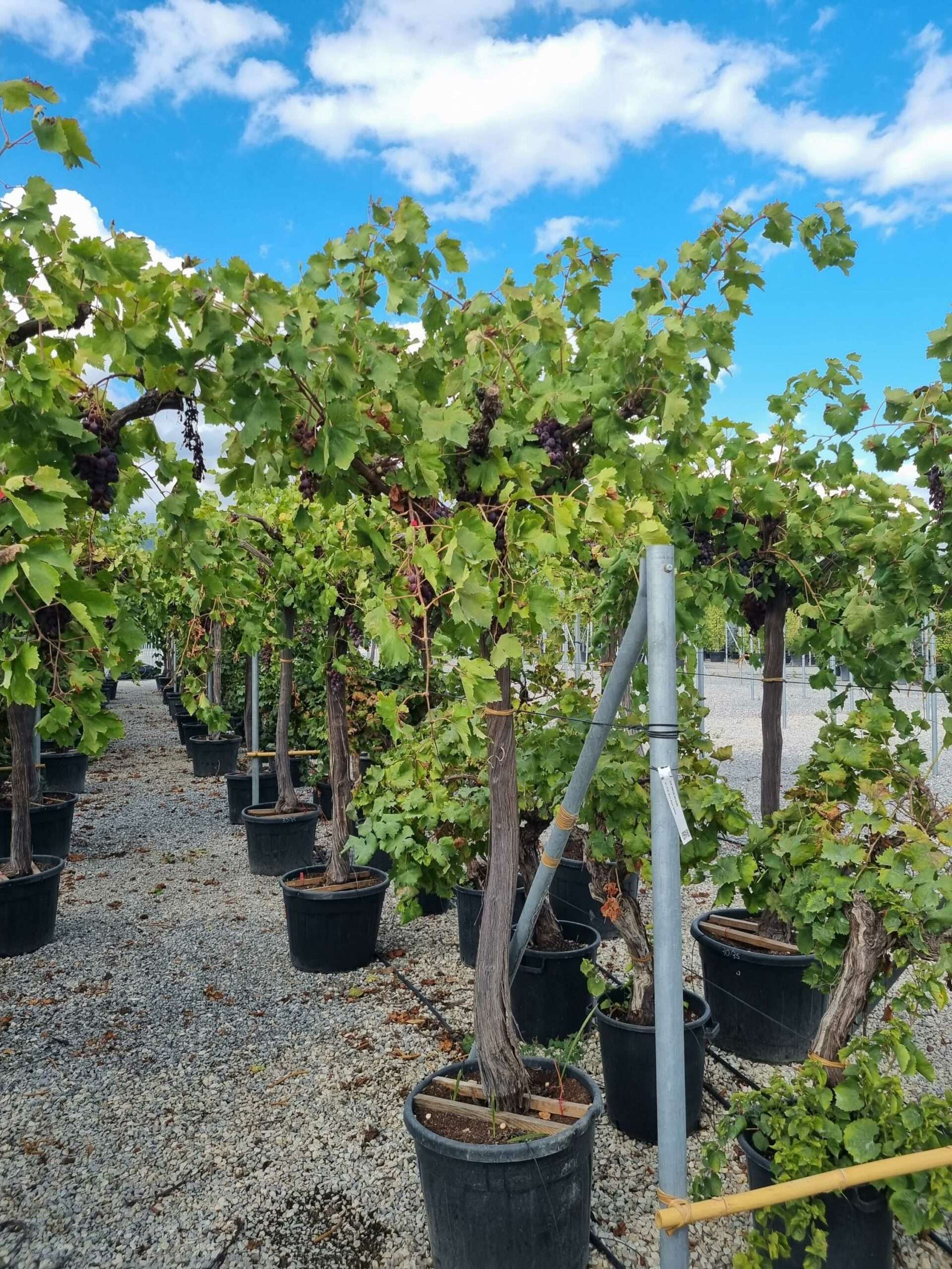 1663338155 scaled d12427a9