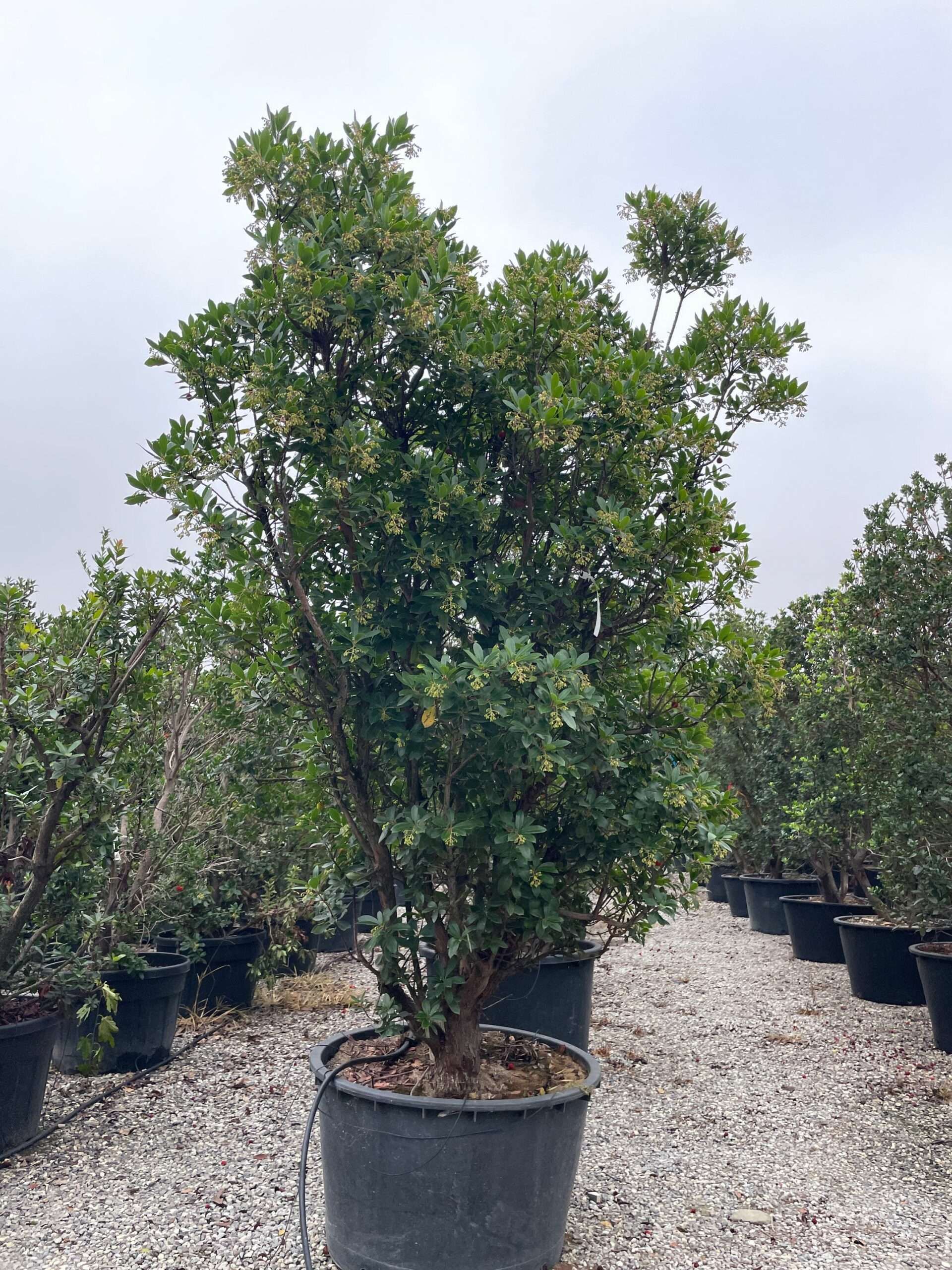 1666169844 scaled d10c6808