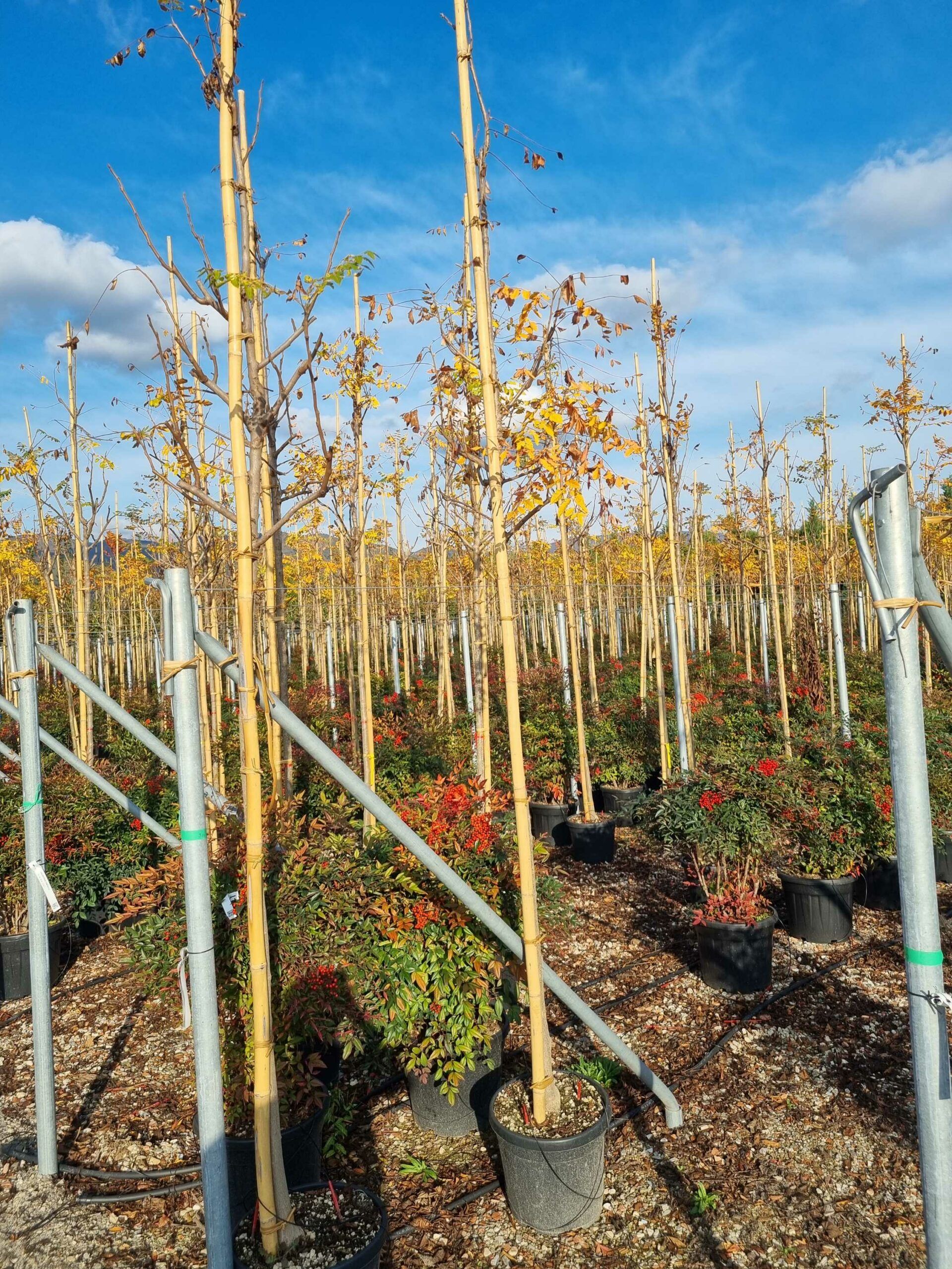 1668432420 scaled d14e2a8b