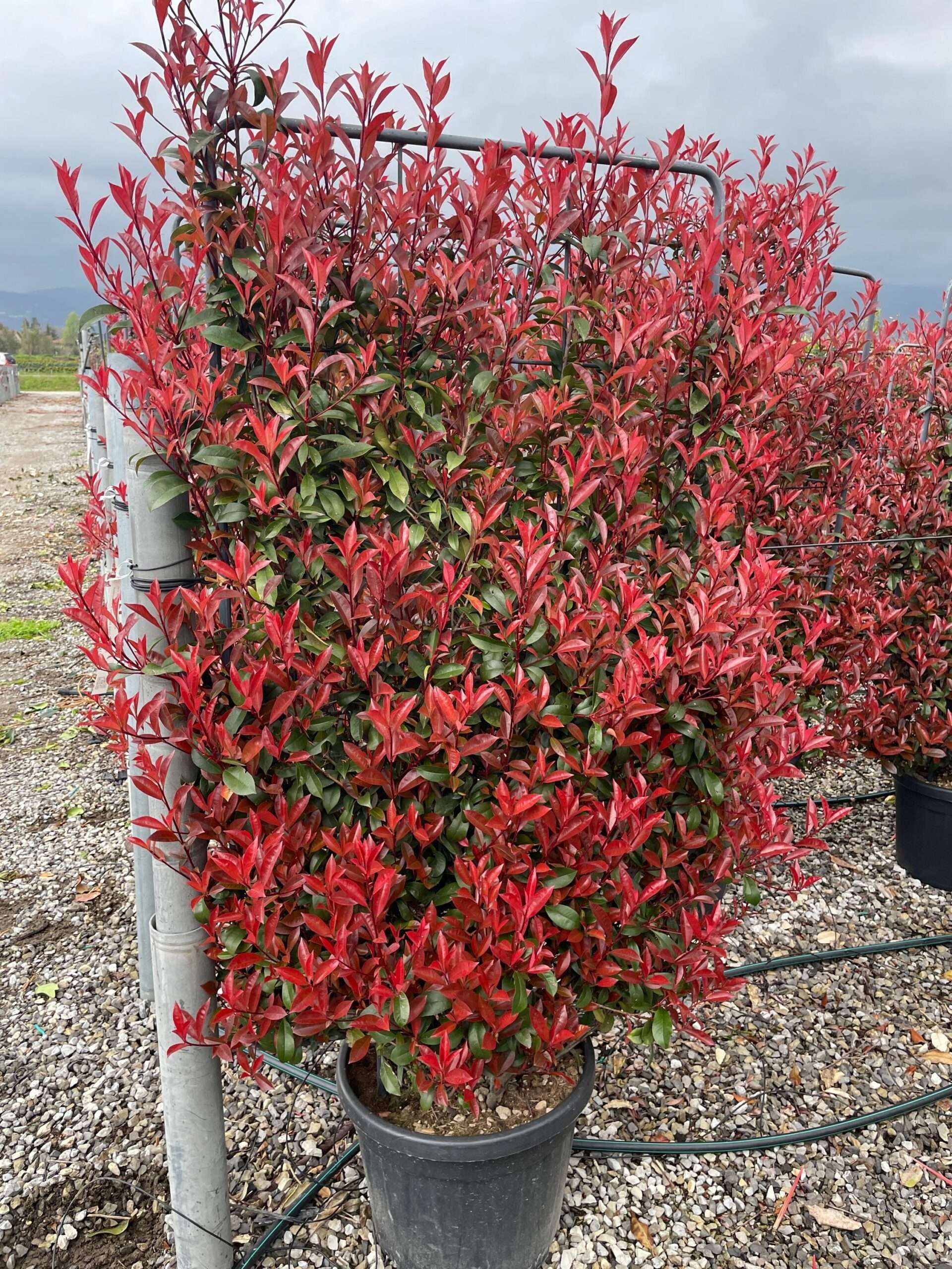 1680279793 scaled d118e2d4