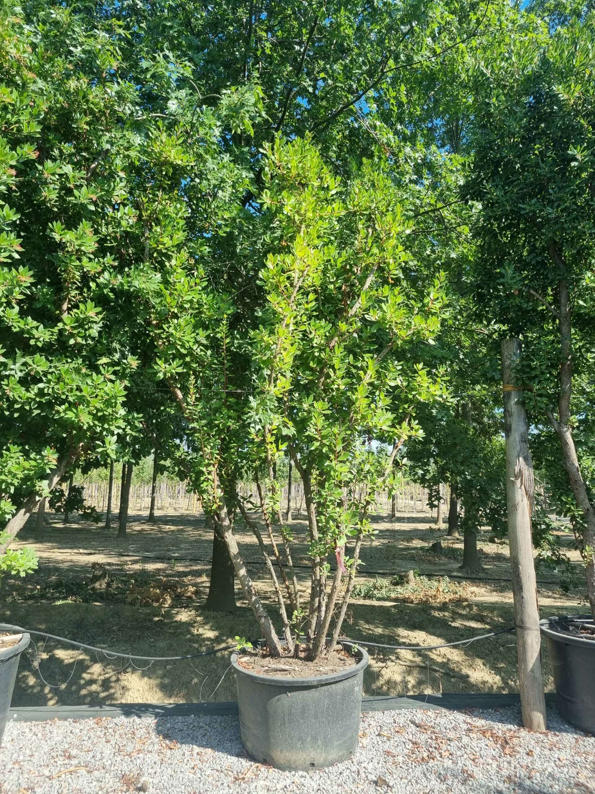 1692801111 scaled d12f4beb