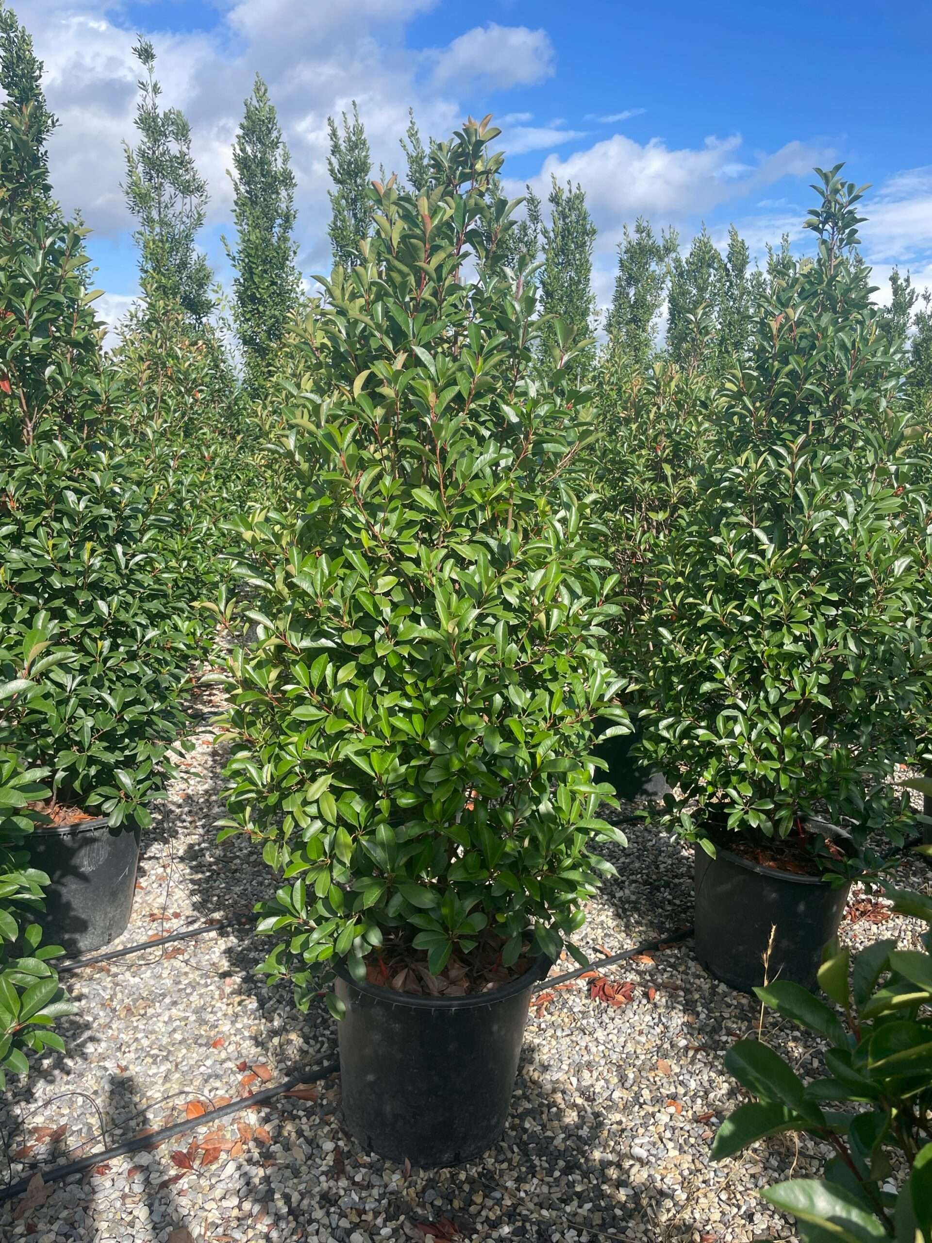 1693209275 scaled d11d766a