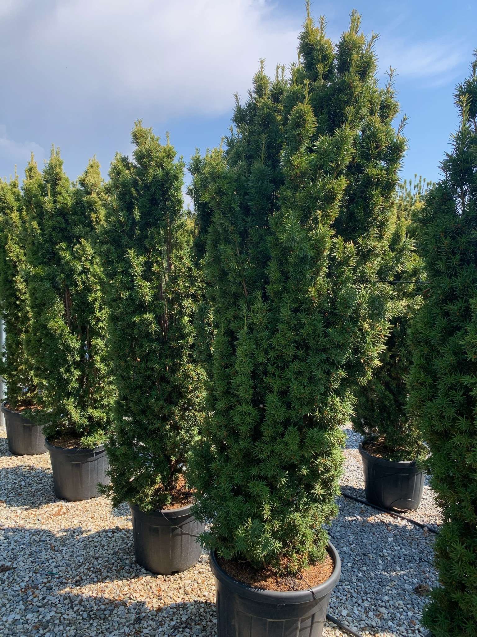 1618930616 018df5221f5083d8215b24ec20120d818b4adde636 d24095b9