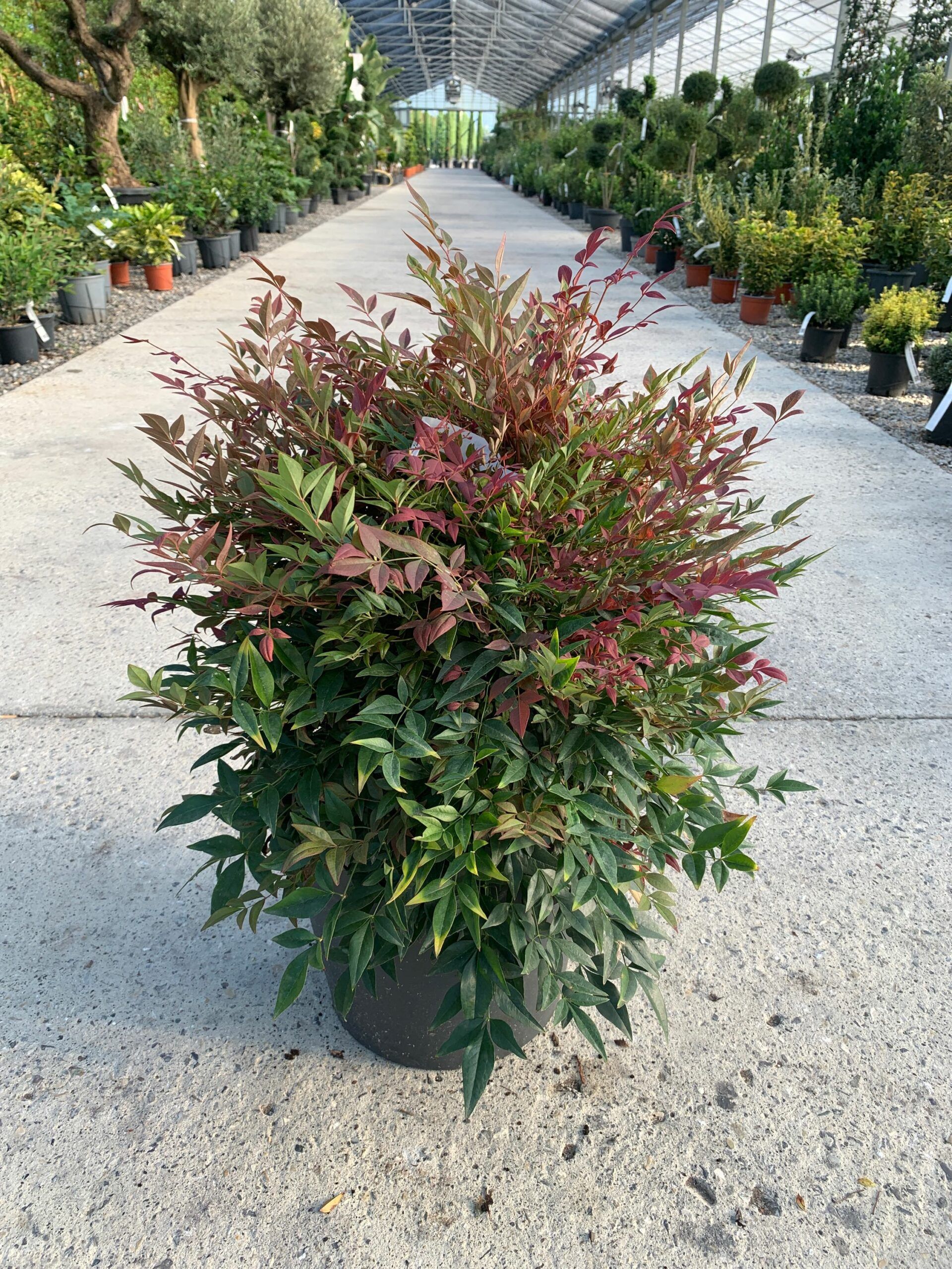 1632812216 scaled d2383e0a