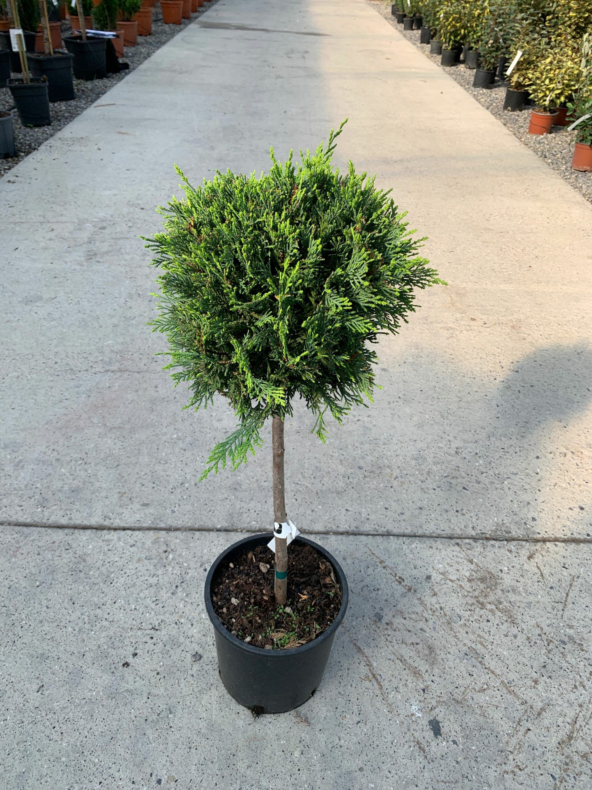 1632837429 scaled d27a6ef4