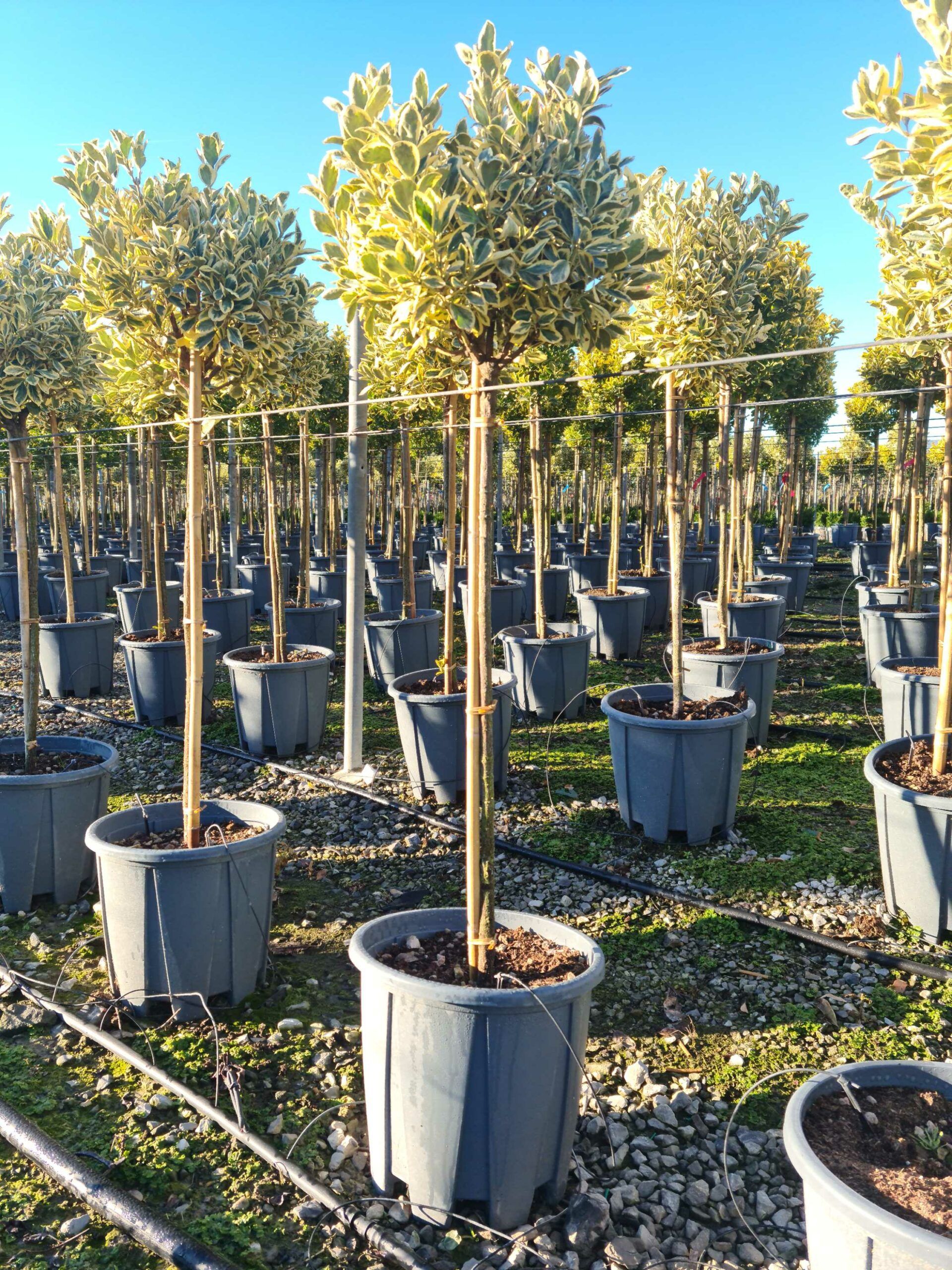 1639642862 scaled d20a481f