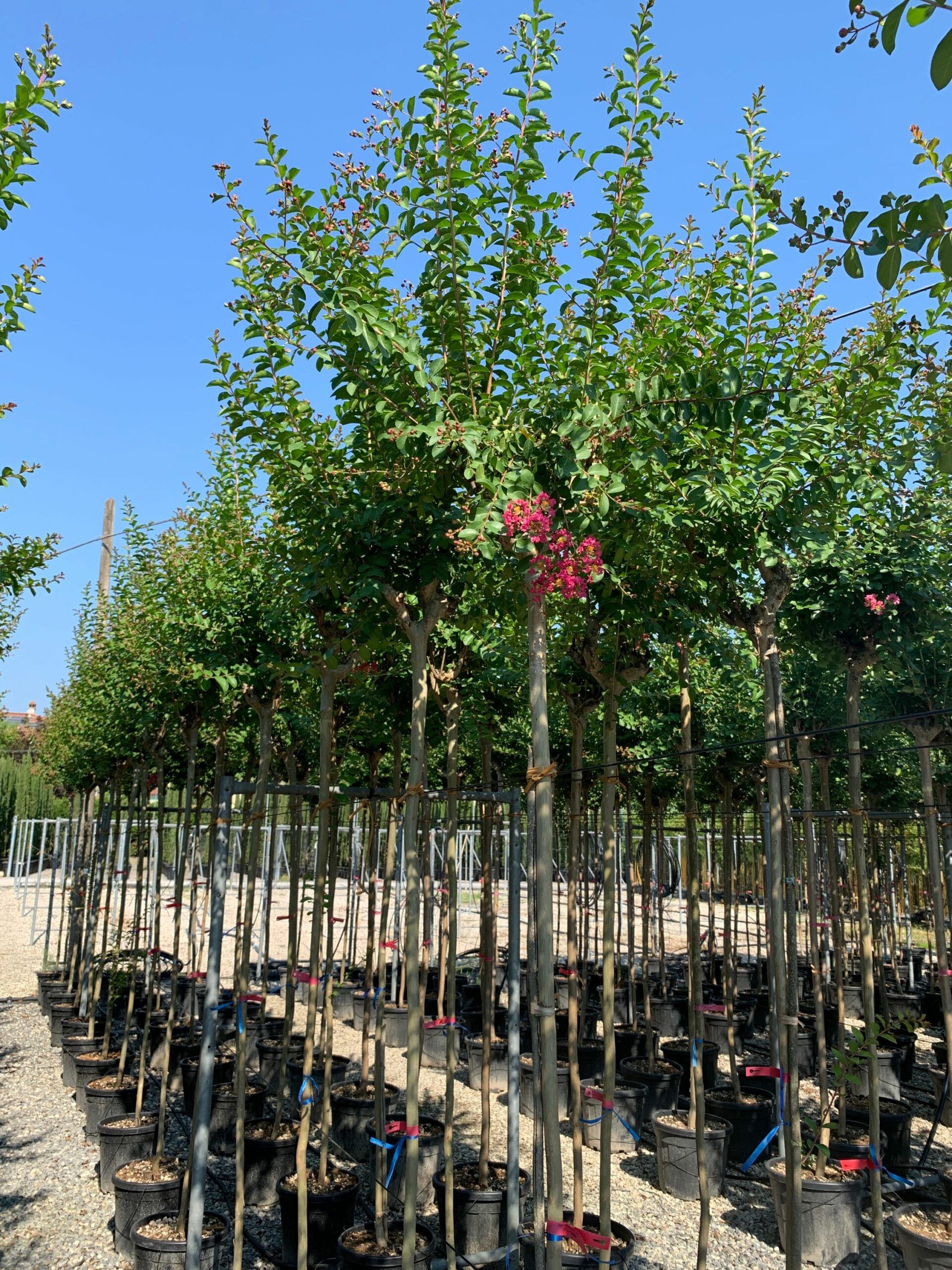 1658130733 scaled d29ecafa