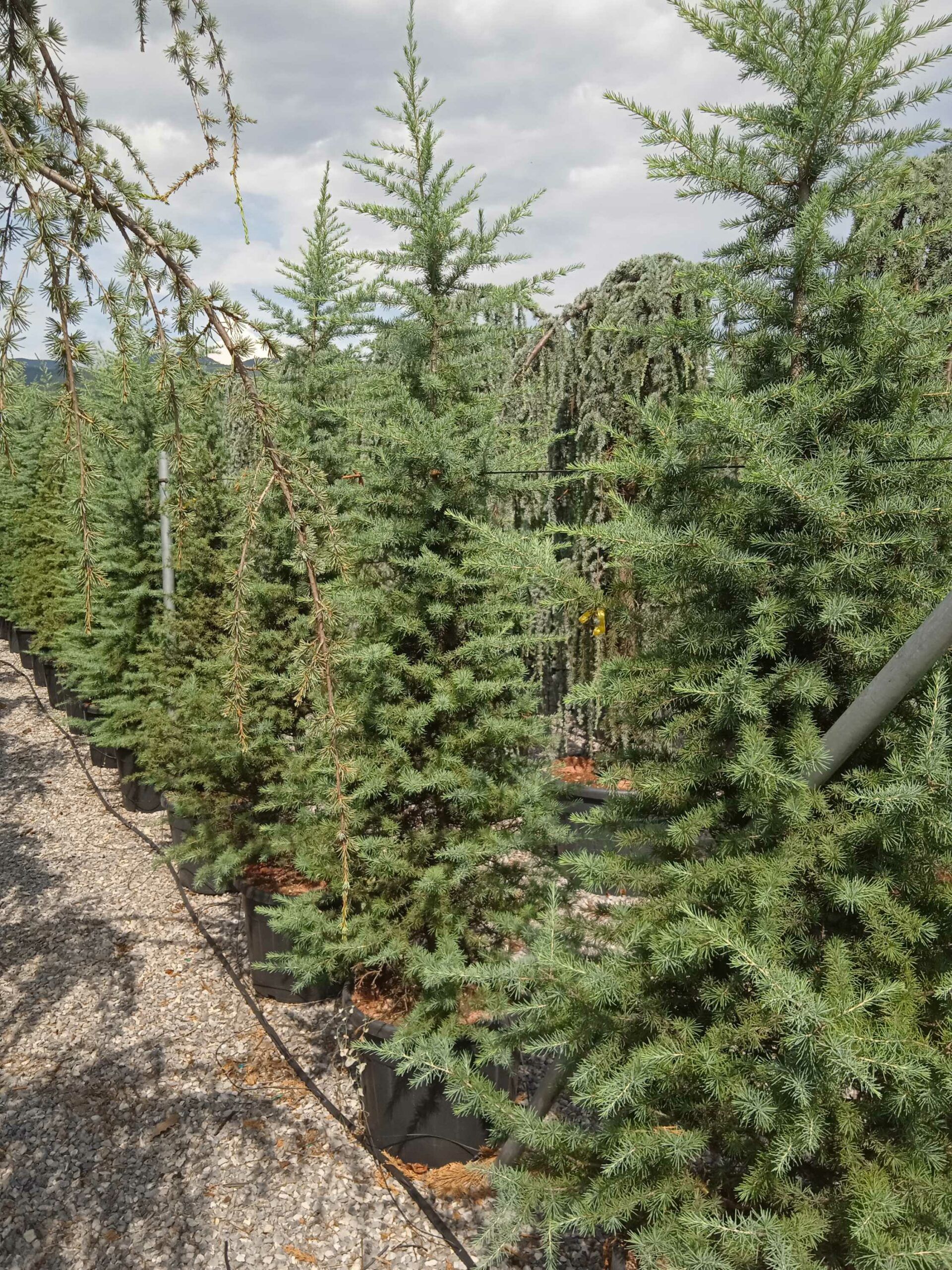 1662035649 scaled d2efb75f