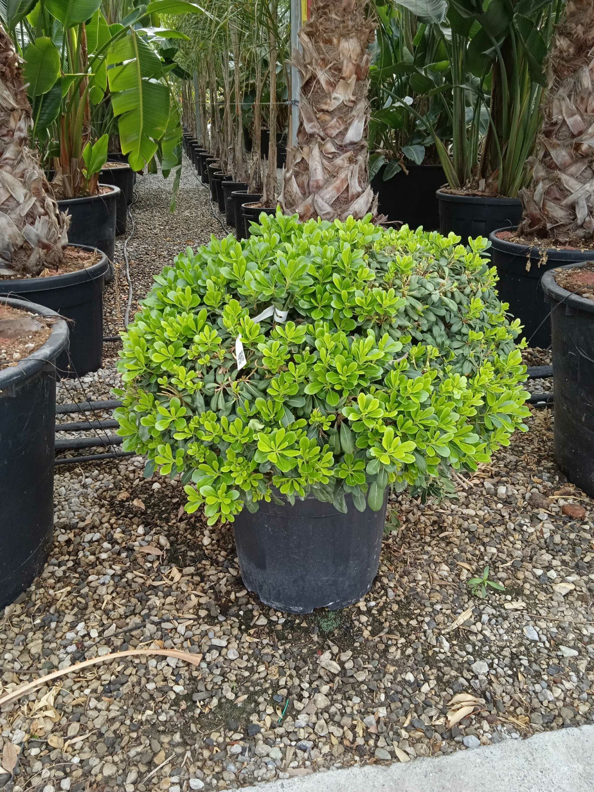 1662366759 scaled d21b30bc