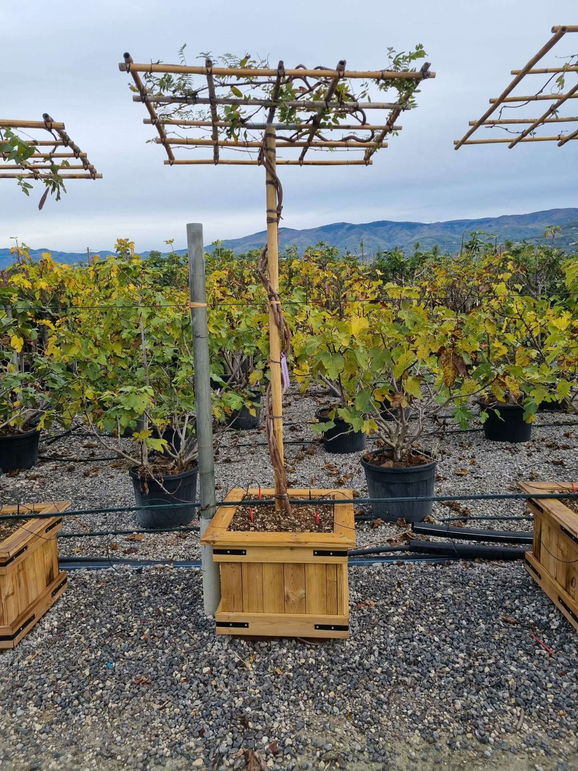 1668236955 scaled d29b2e78