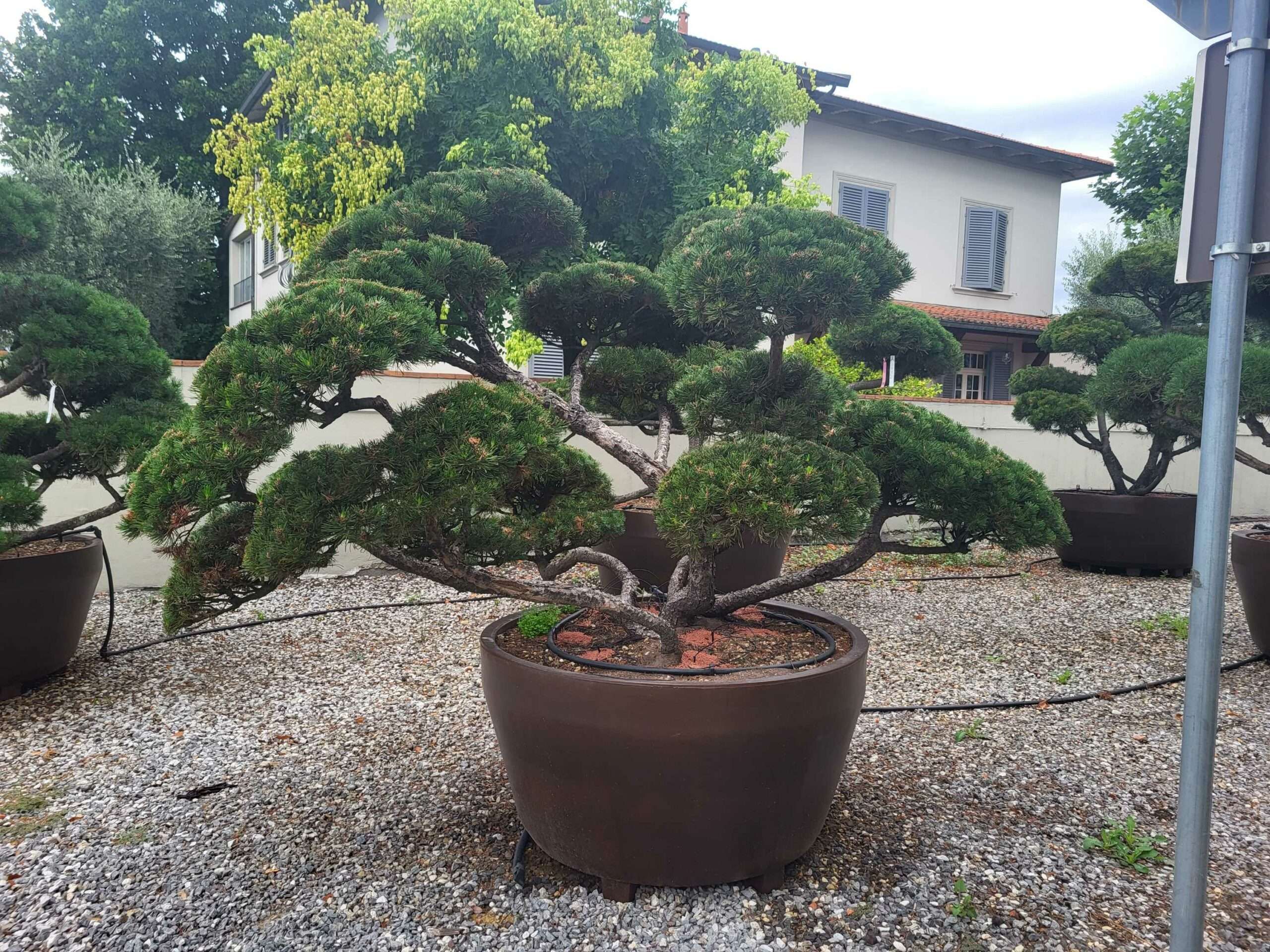 1691049955 scaled d254dff6