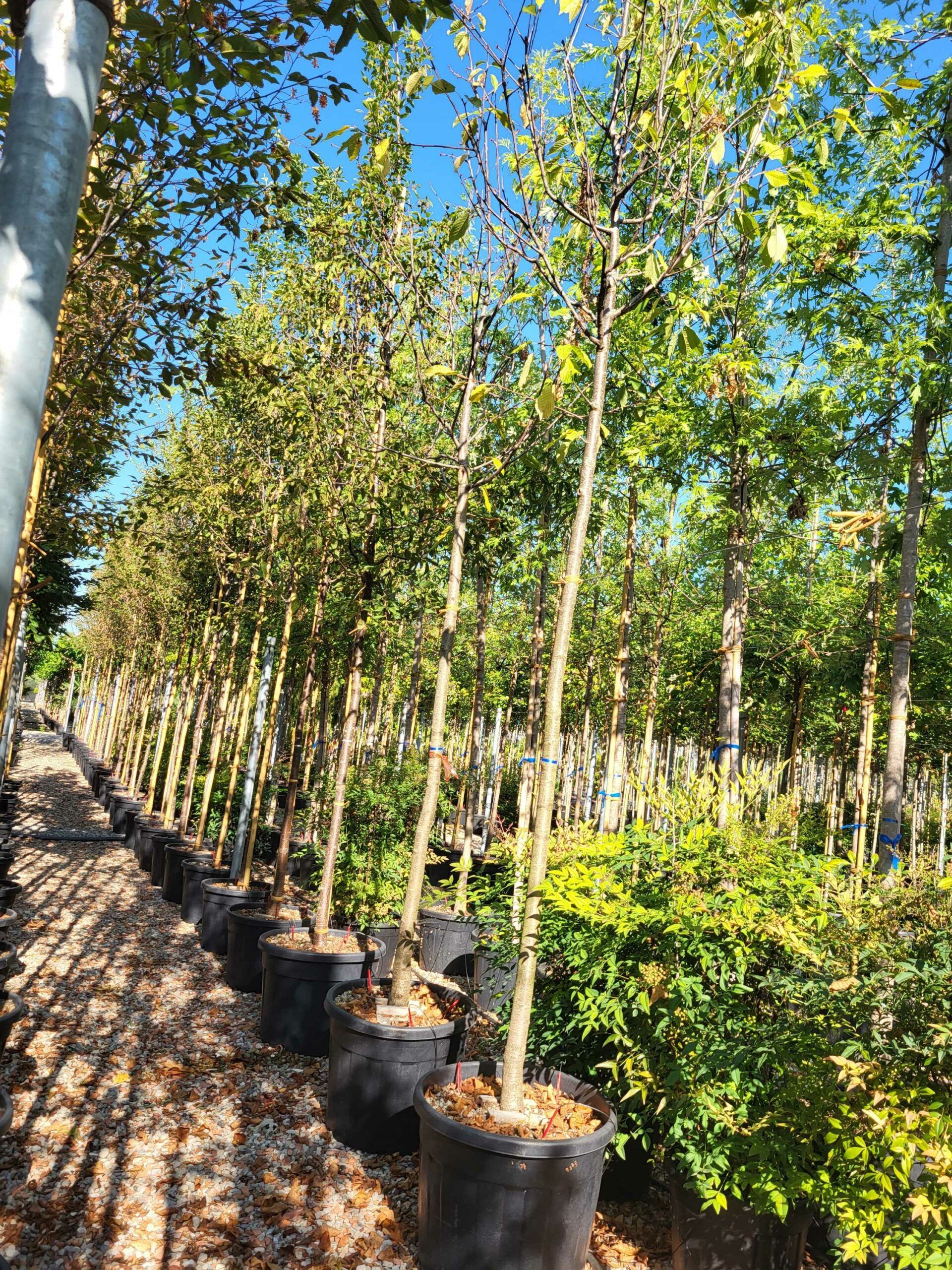 1692689868 scaled d24af8ef