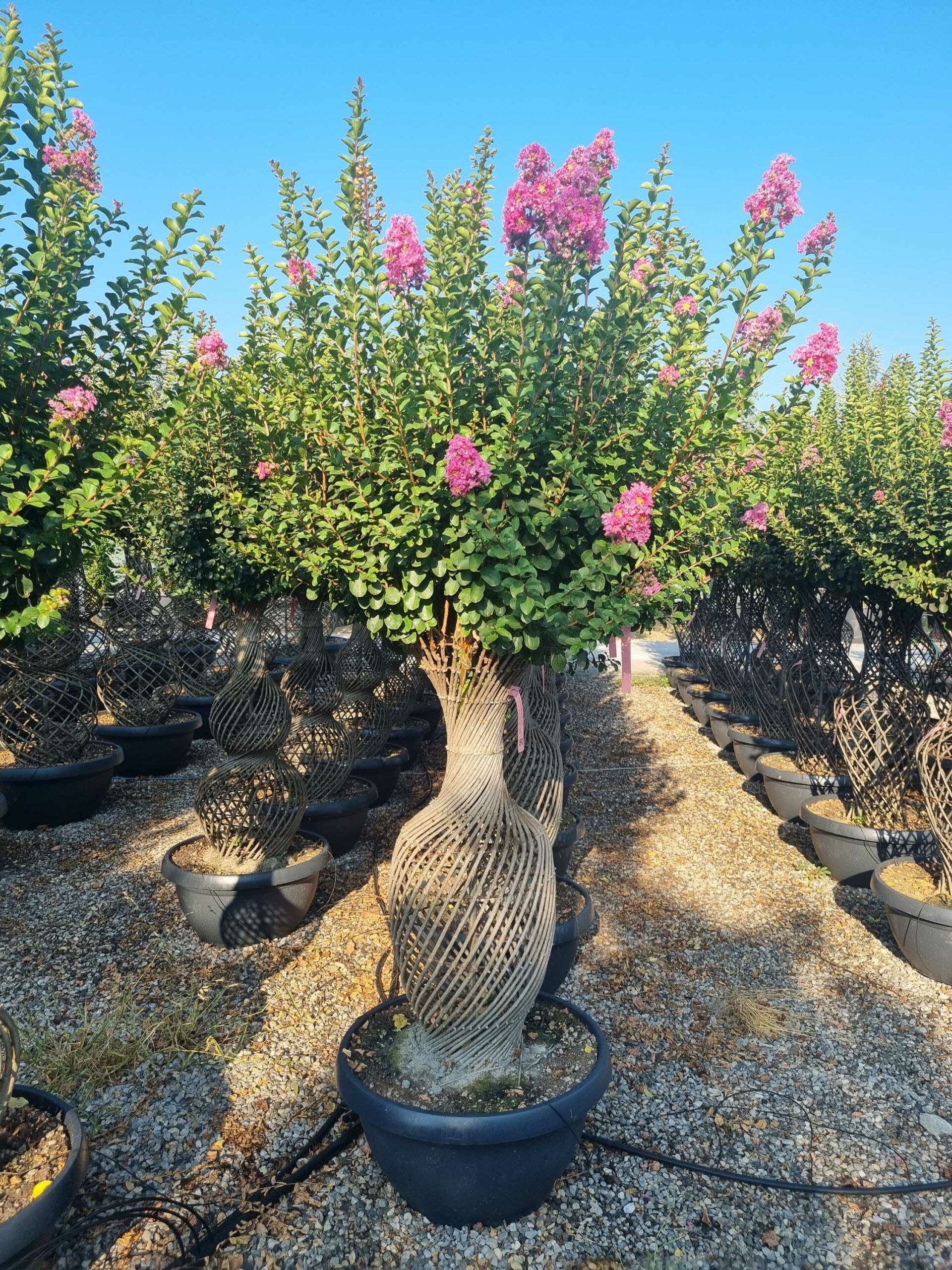 1693033020 scaled d235cf2a