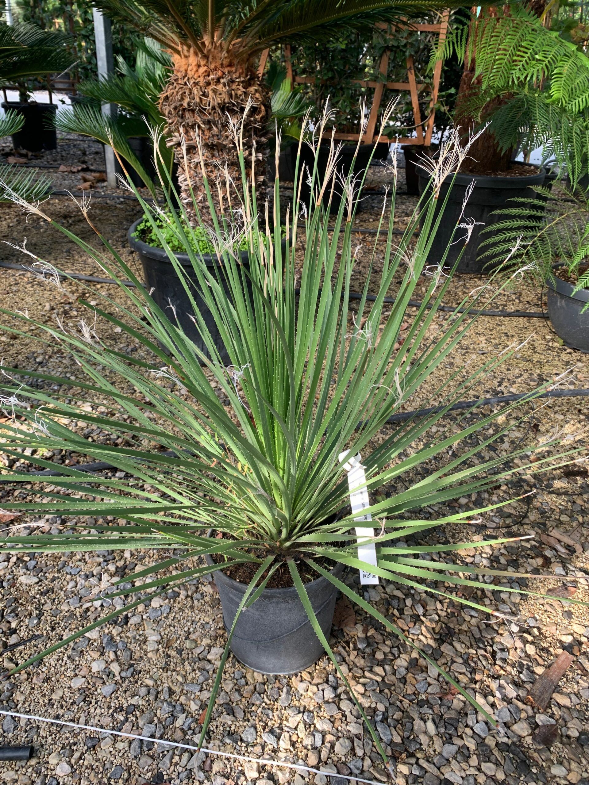 1634975754 scaled d31529b4