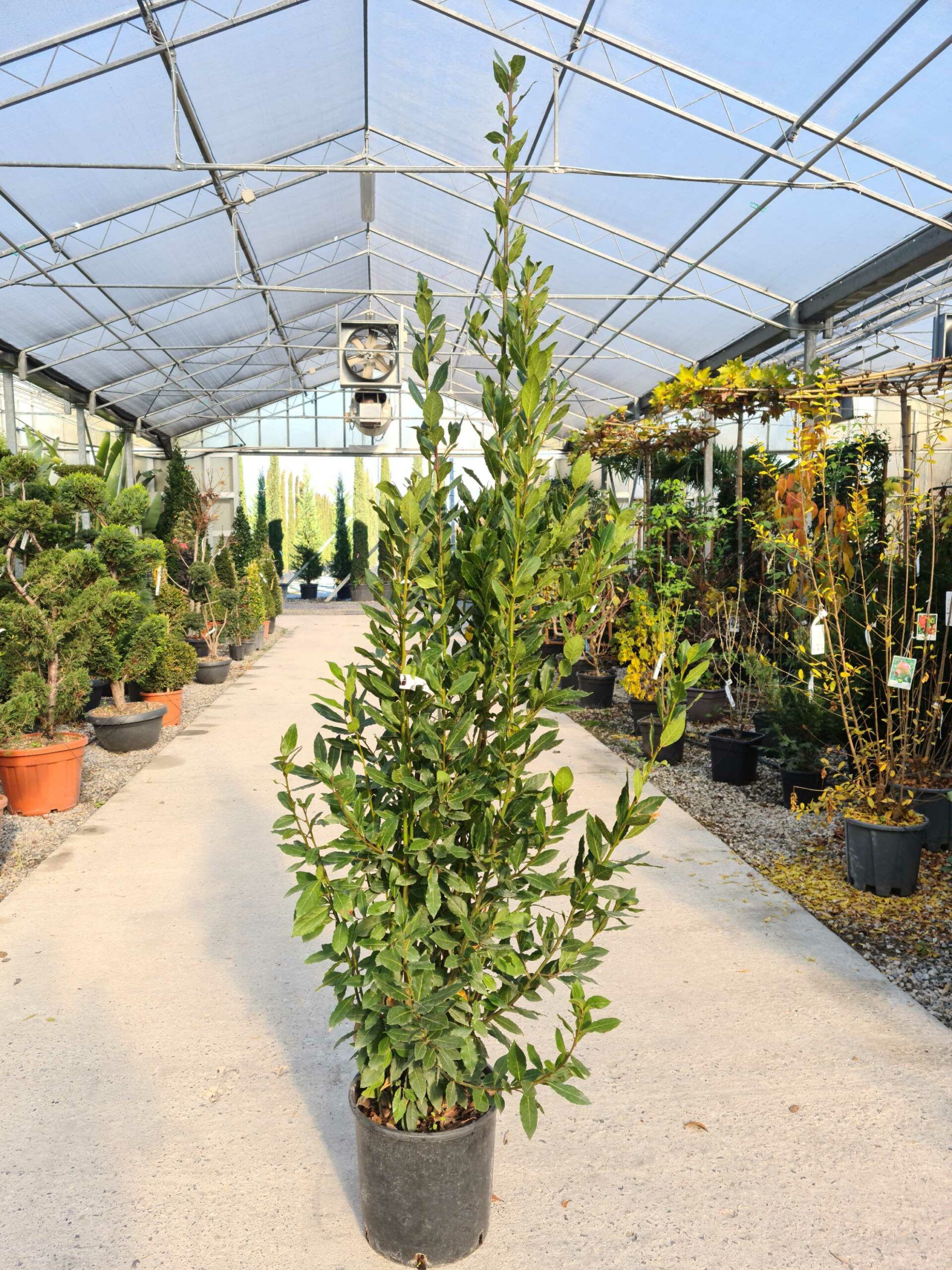 1639478672 scaled d368627a