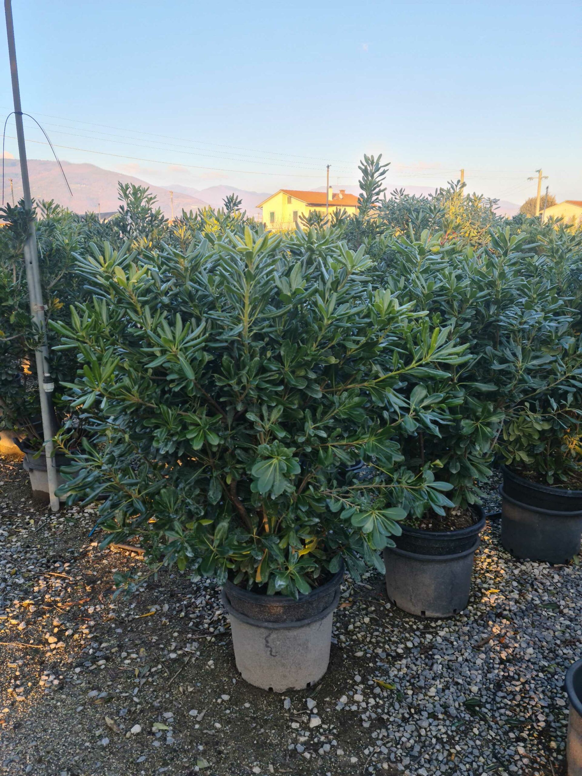 1642779102 scaled d329428d