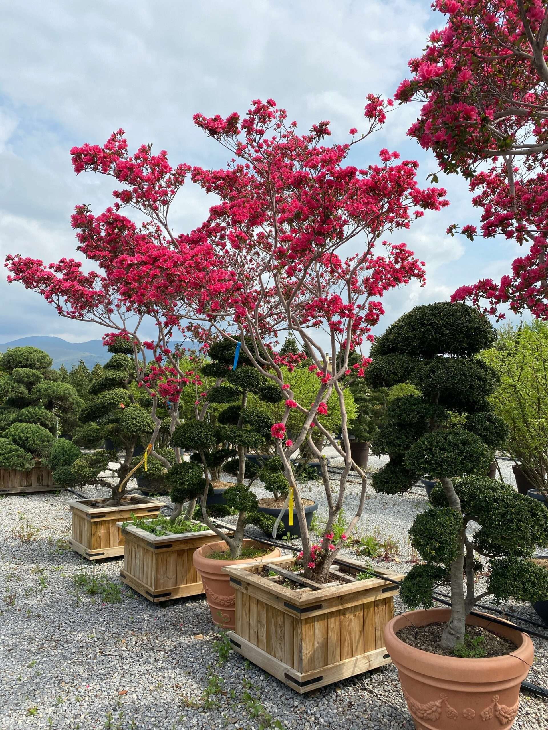 1650448412 scaled d3d8d523