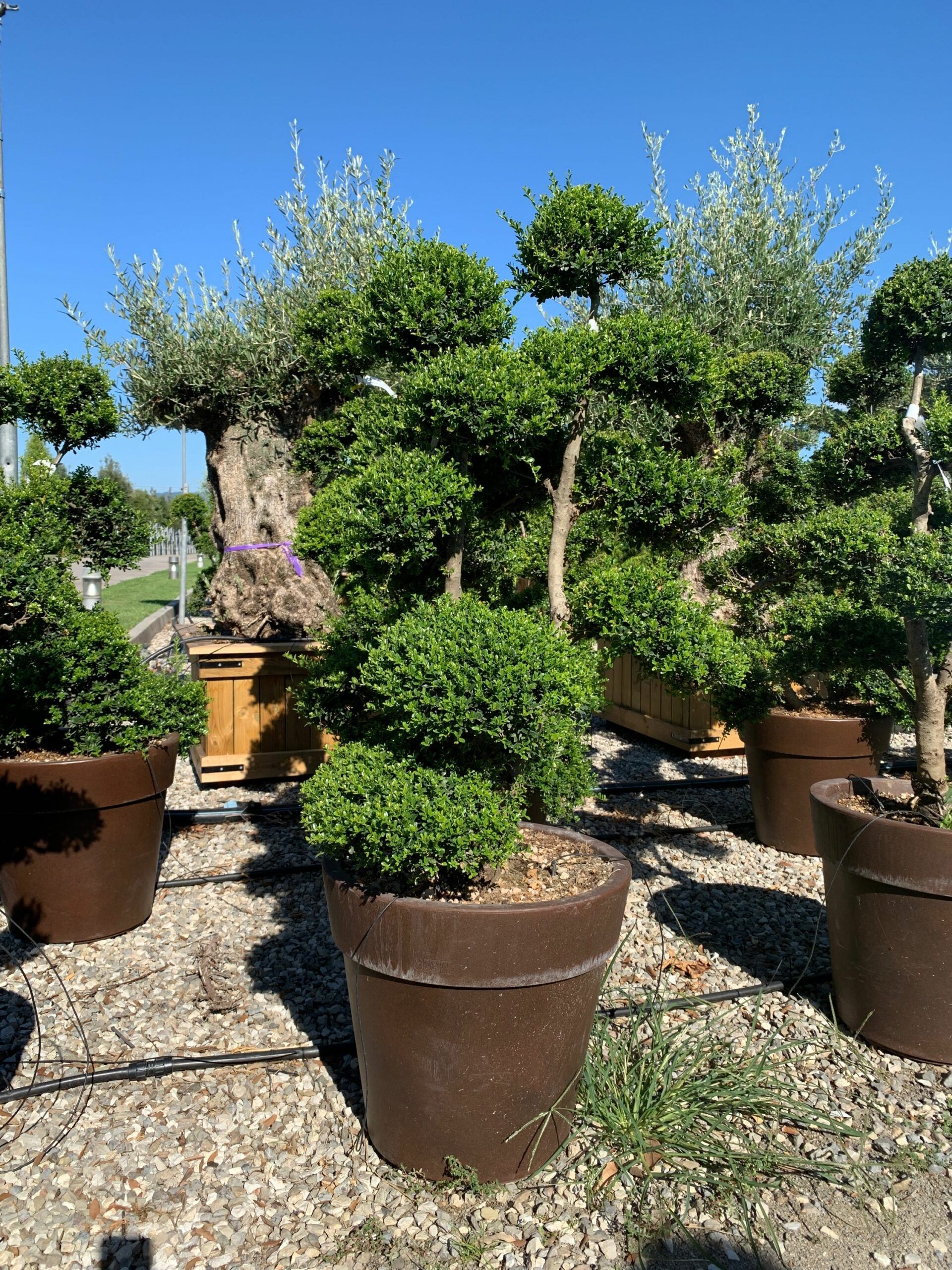 1659598423 1 scaled d3ef671f