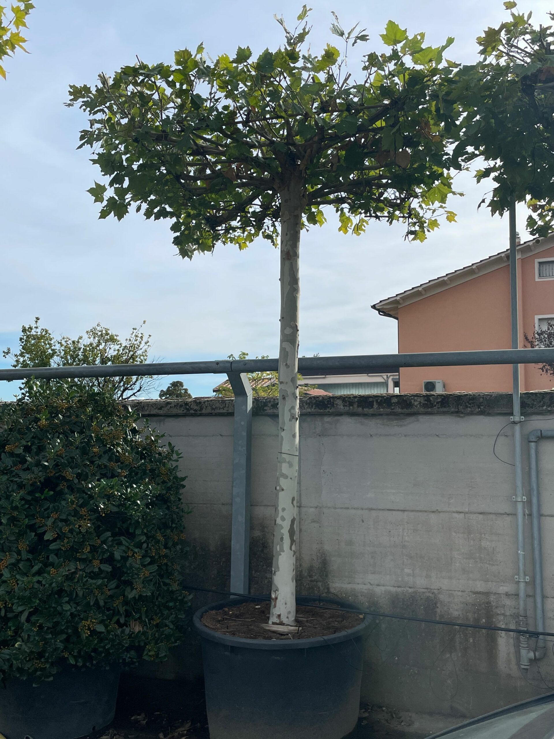 1664891785 scaled d3136be0