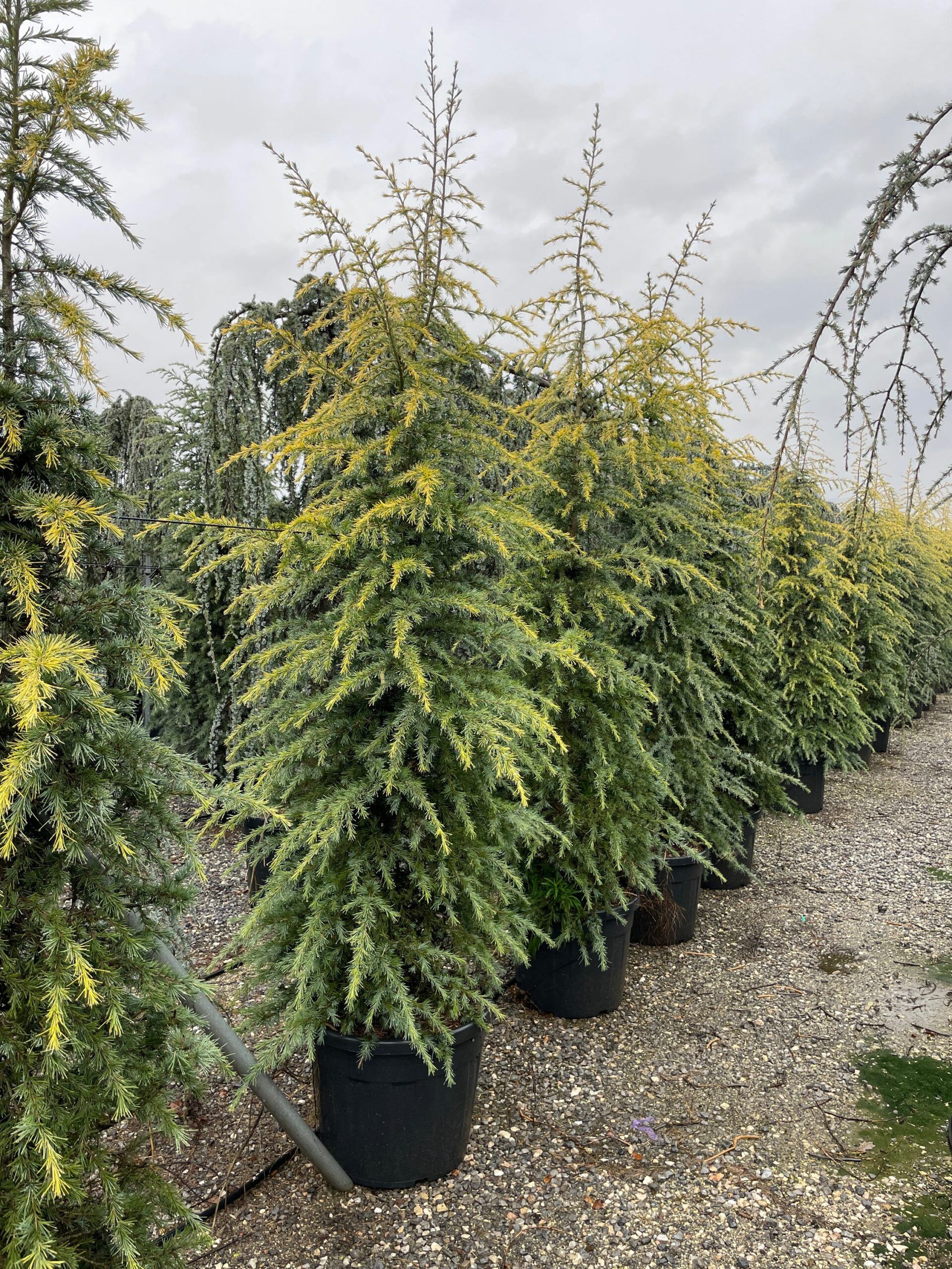 1670580817 scaled d33e595c