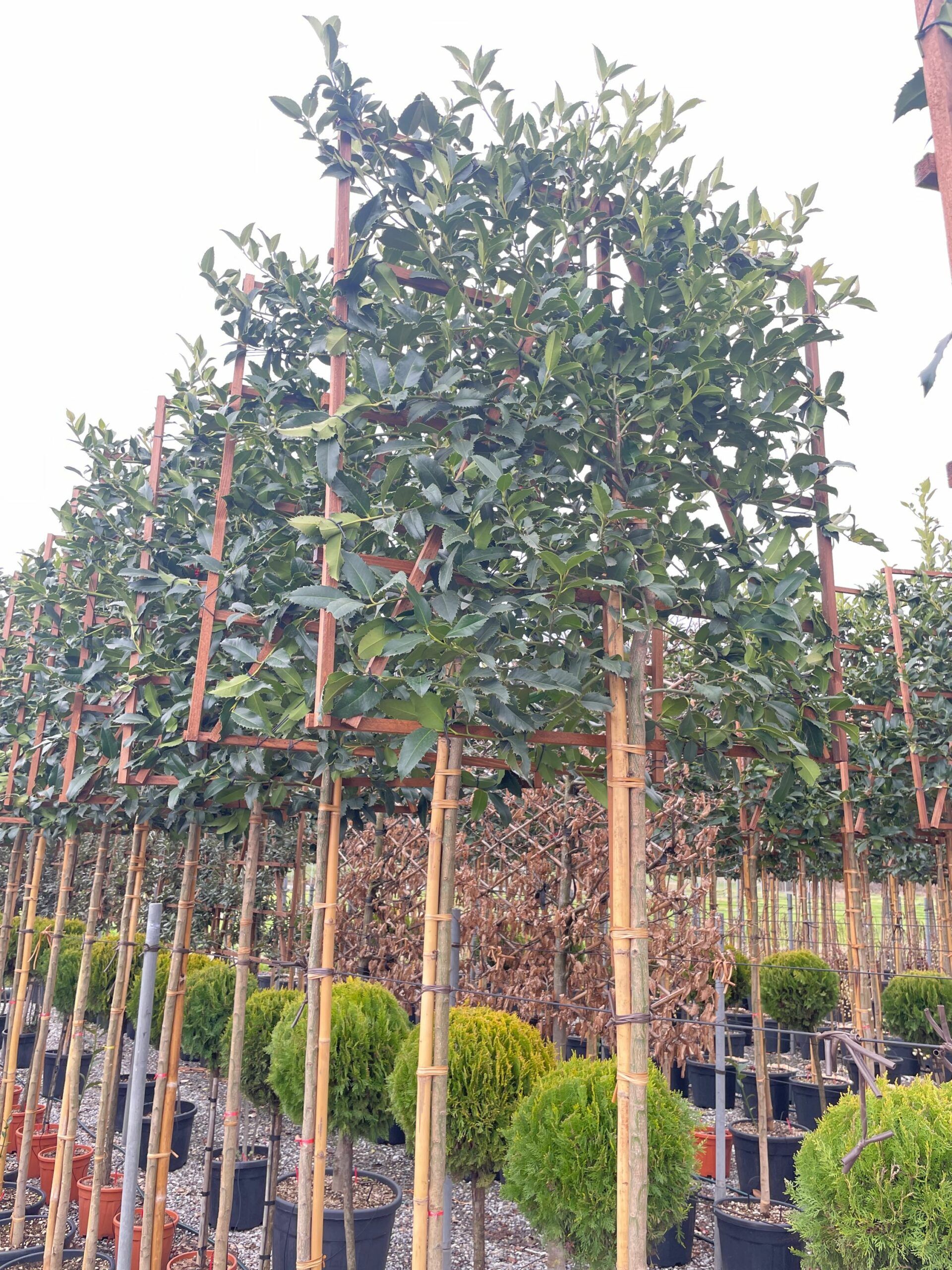 1678195416 scaled d34184d9