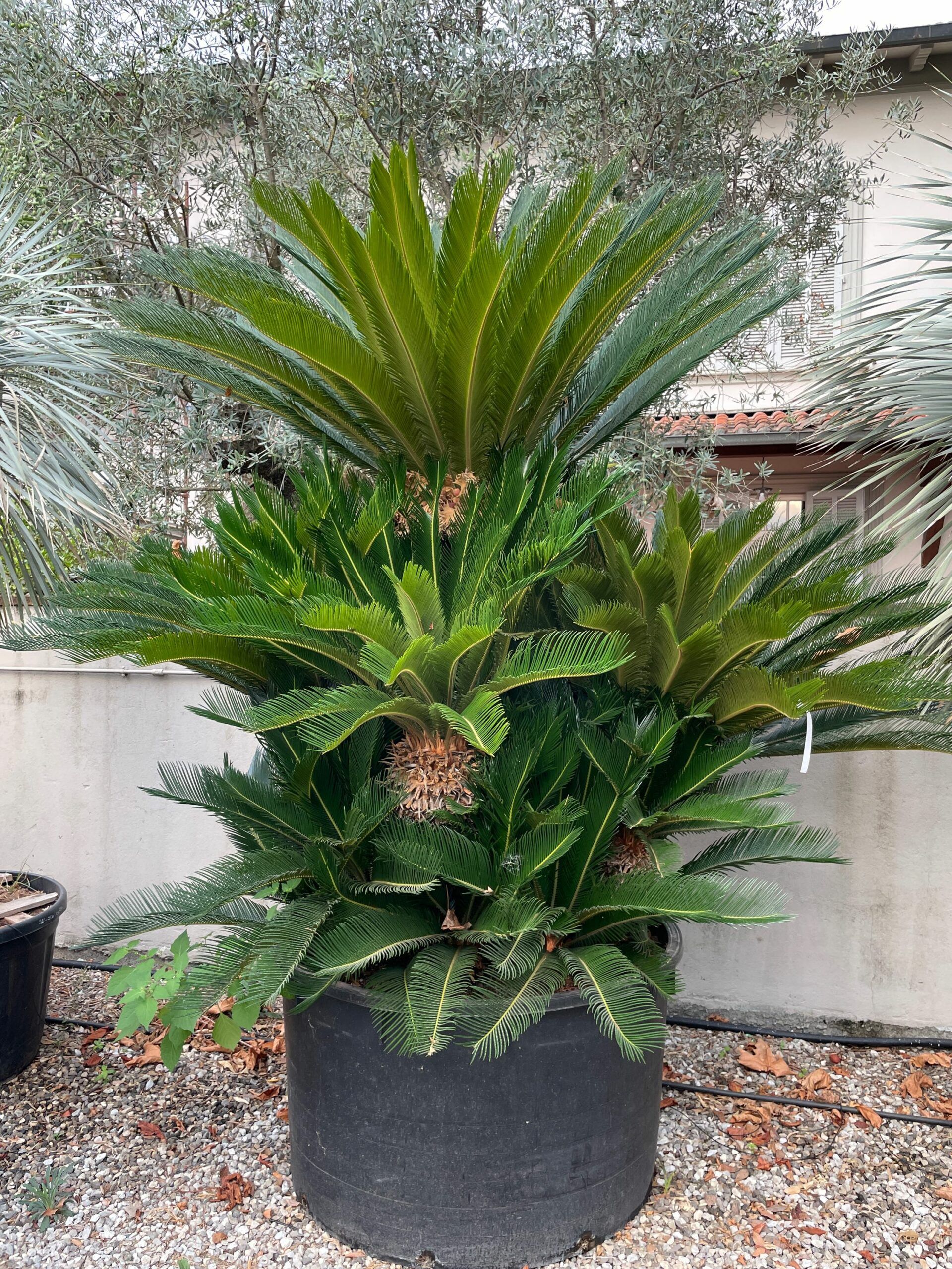 1631598405 scaled d4166ba1