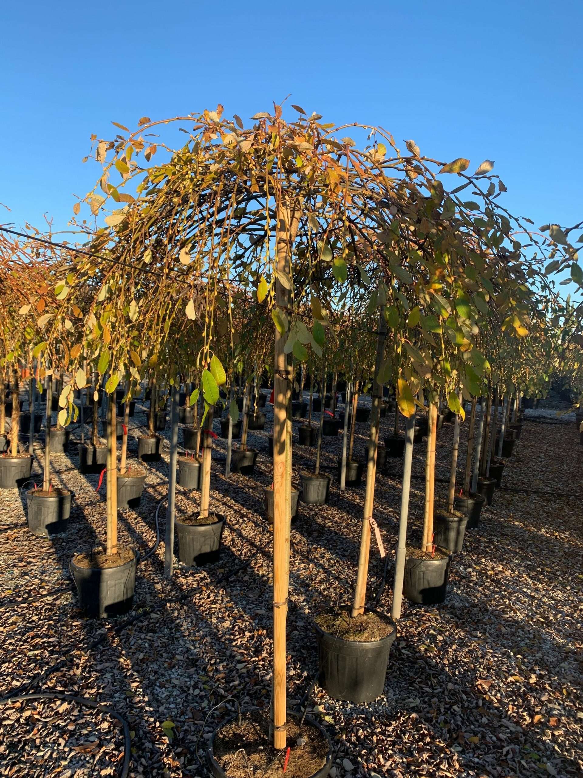 1638887529 scaled d4177da7