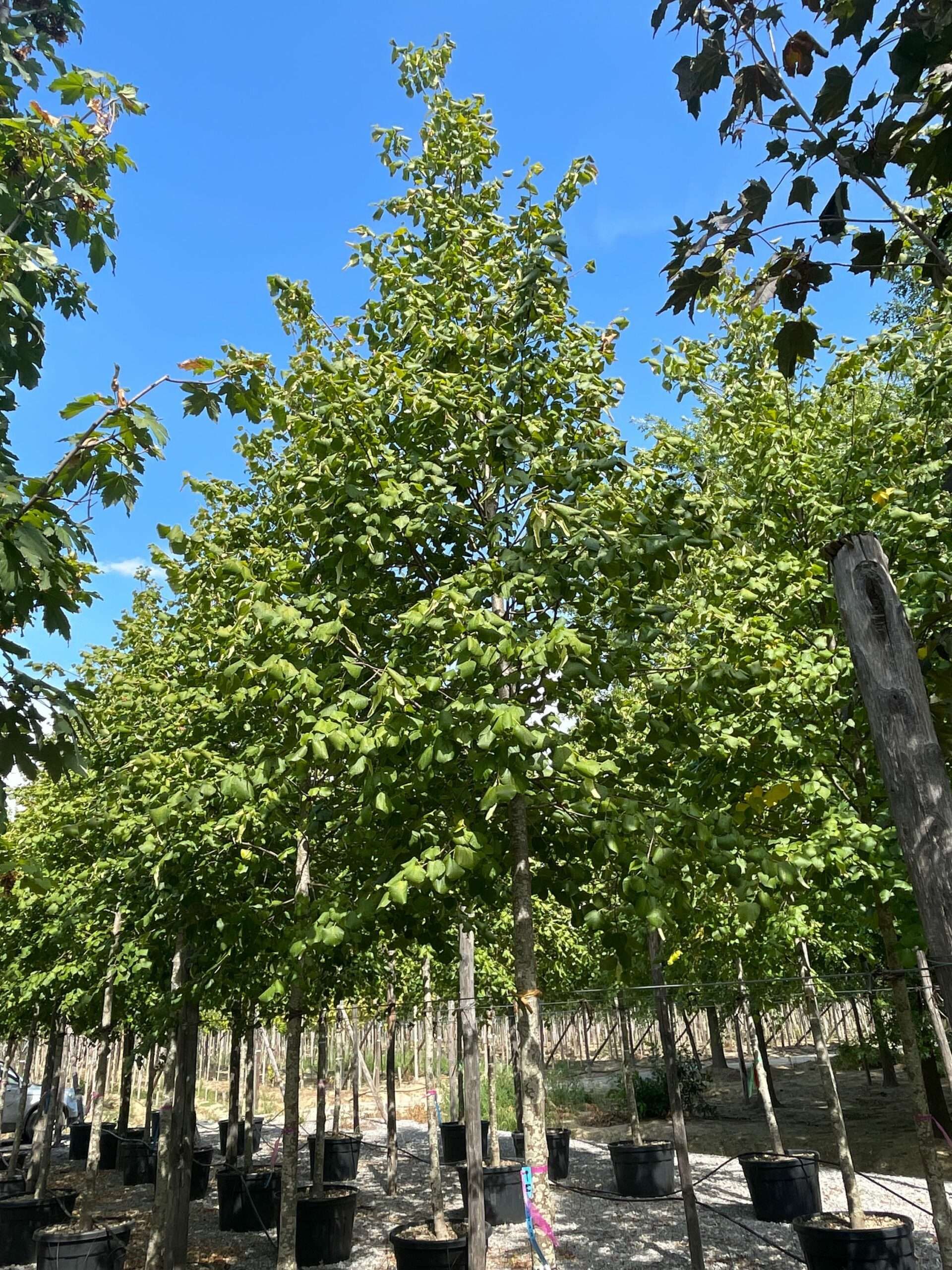 1662124754 scaled d4c767e6