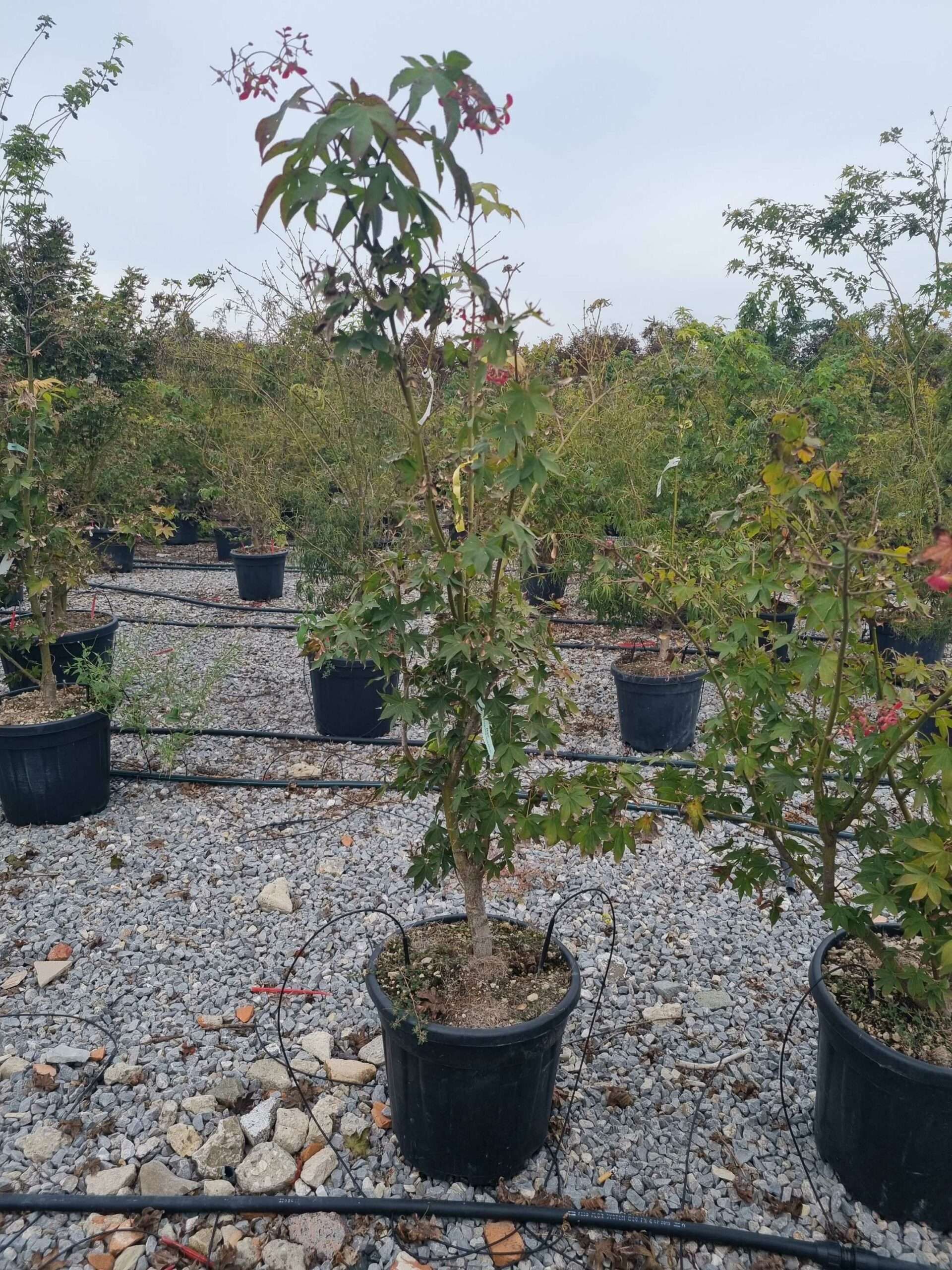 1665588469 scaled d437e3f8