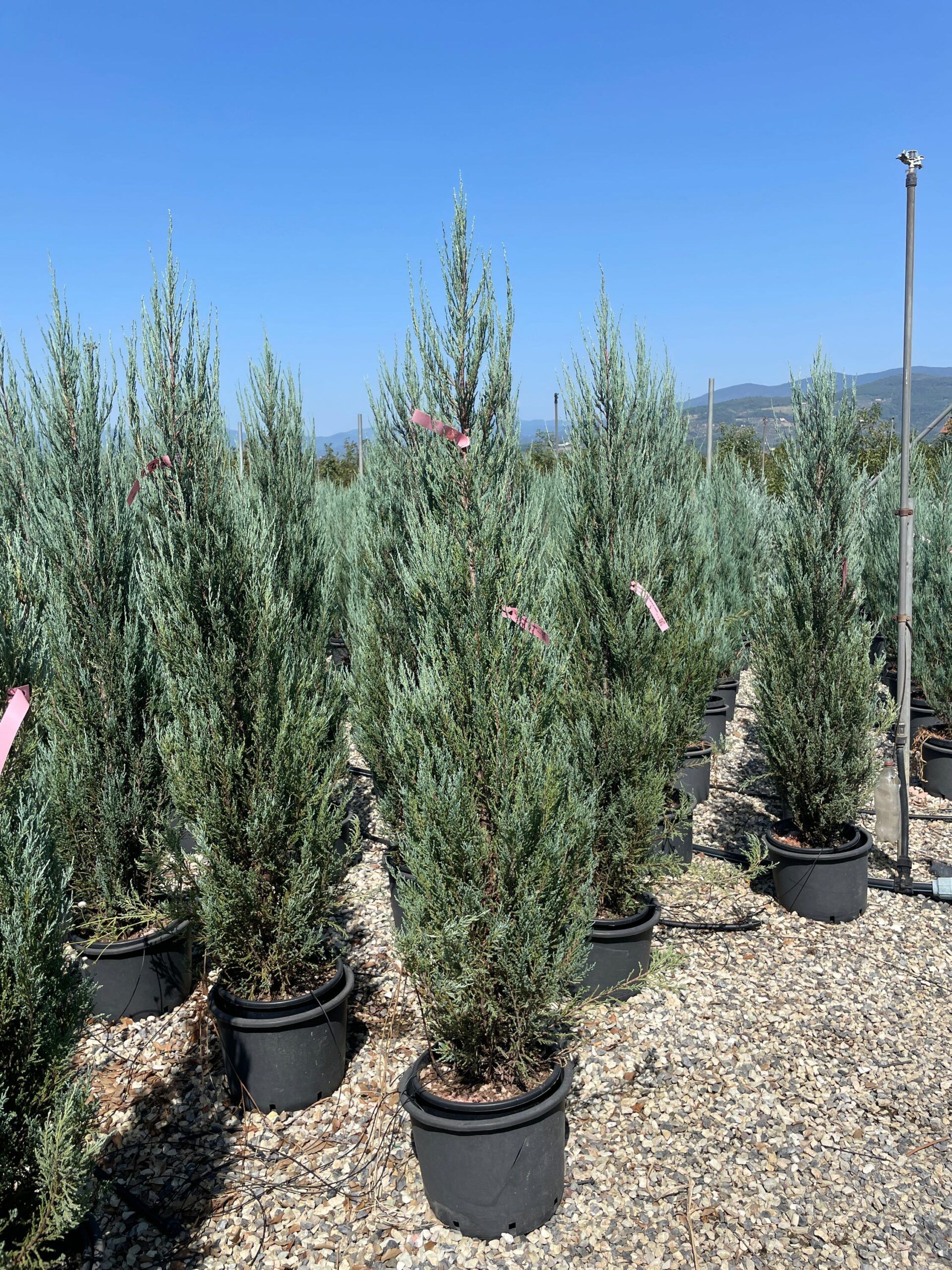 1692958673 scaled d4190f0d