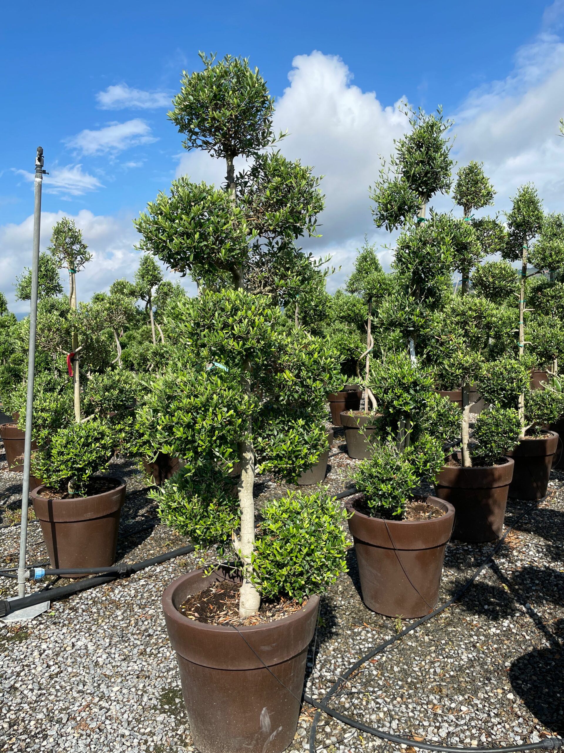 1631957313 scaled d59e31fd