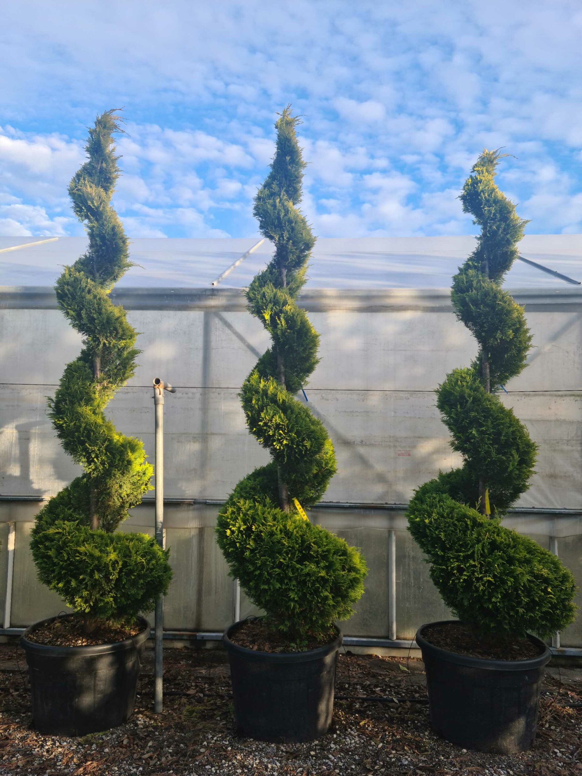 1639405114 scaled d5bcd142