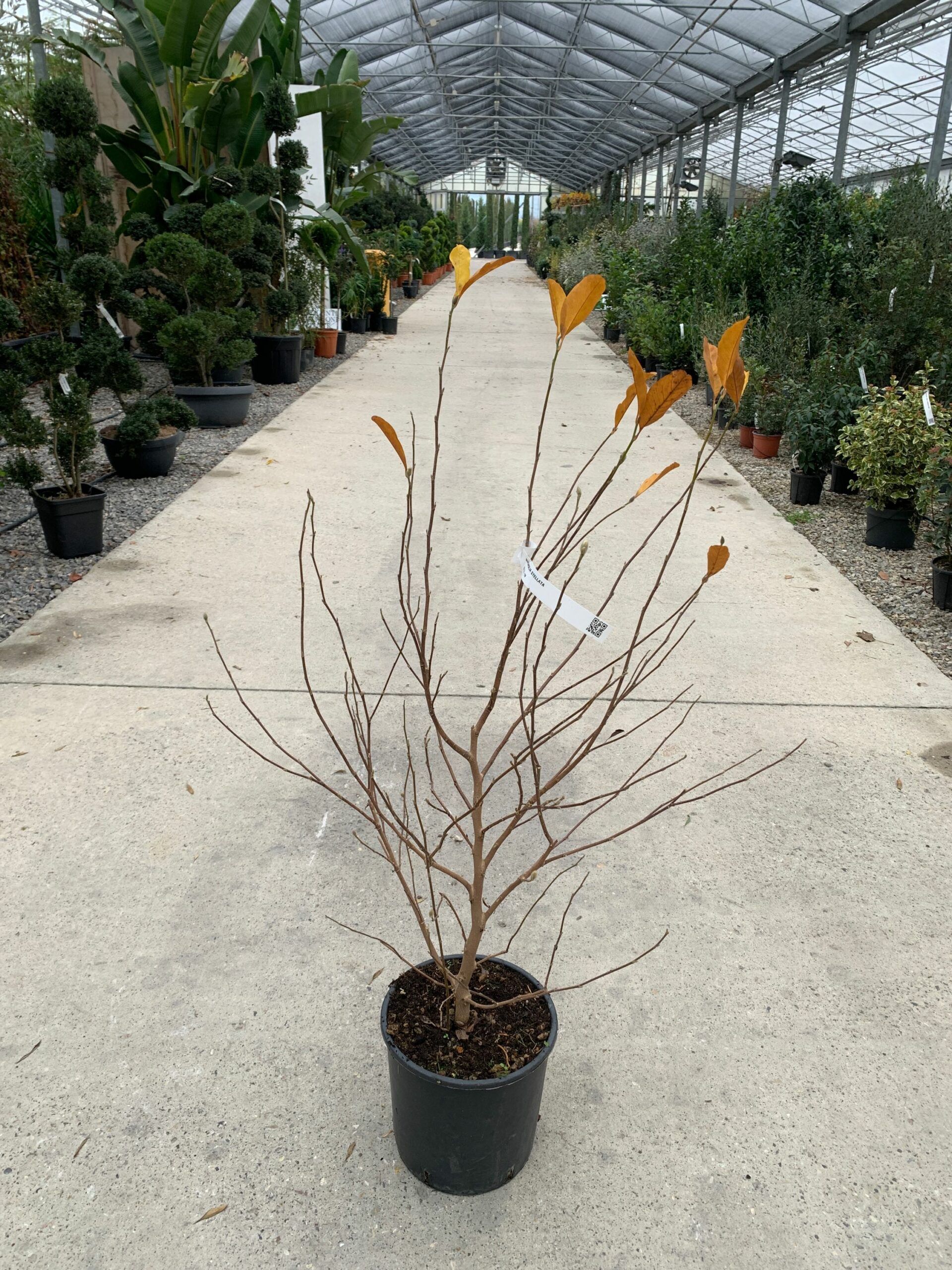 1640095645 scaled d5f28f91