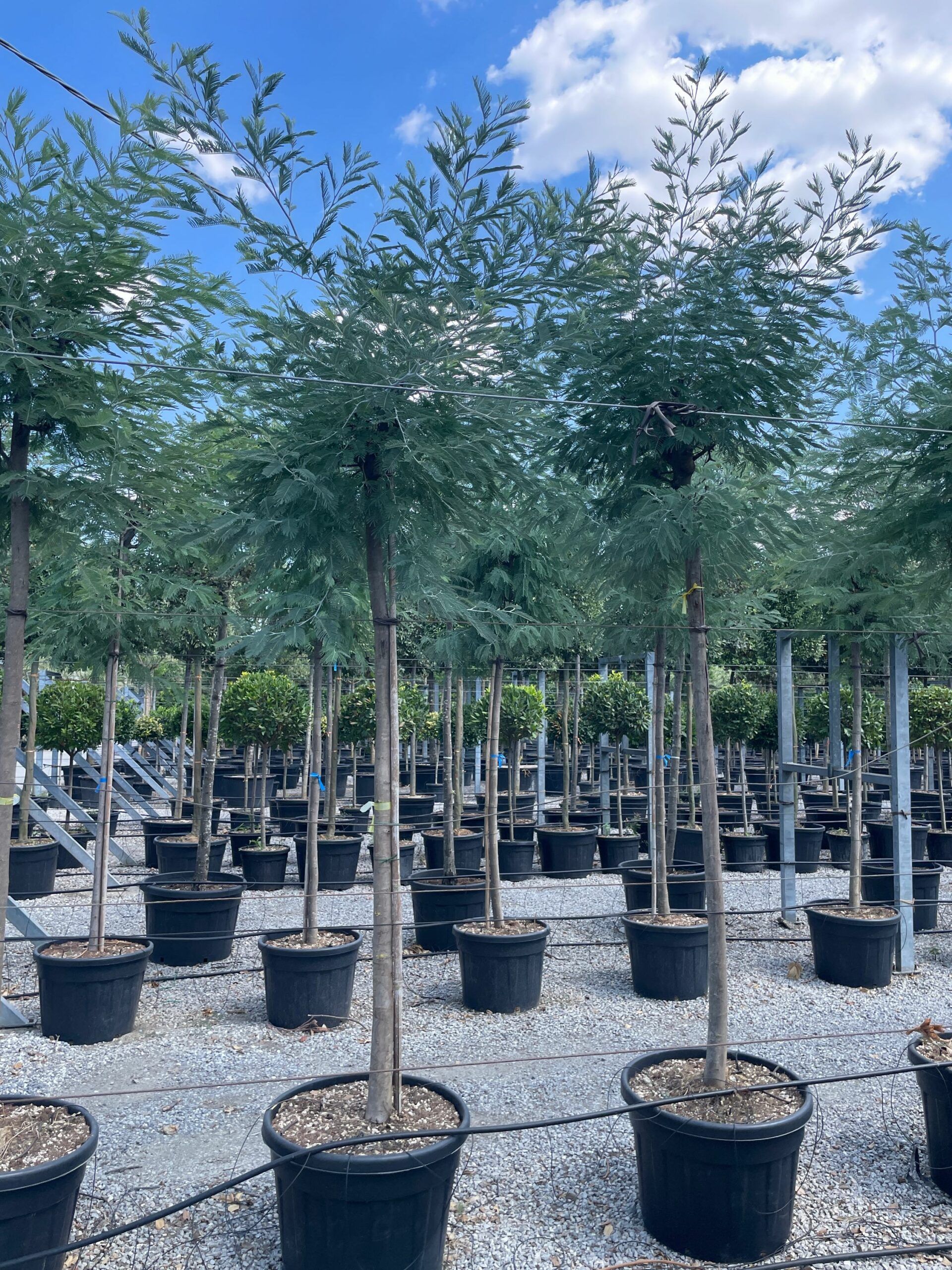 1660224636 scaled d582e538