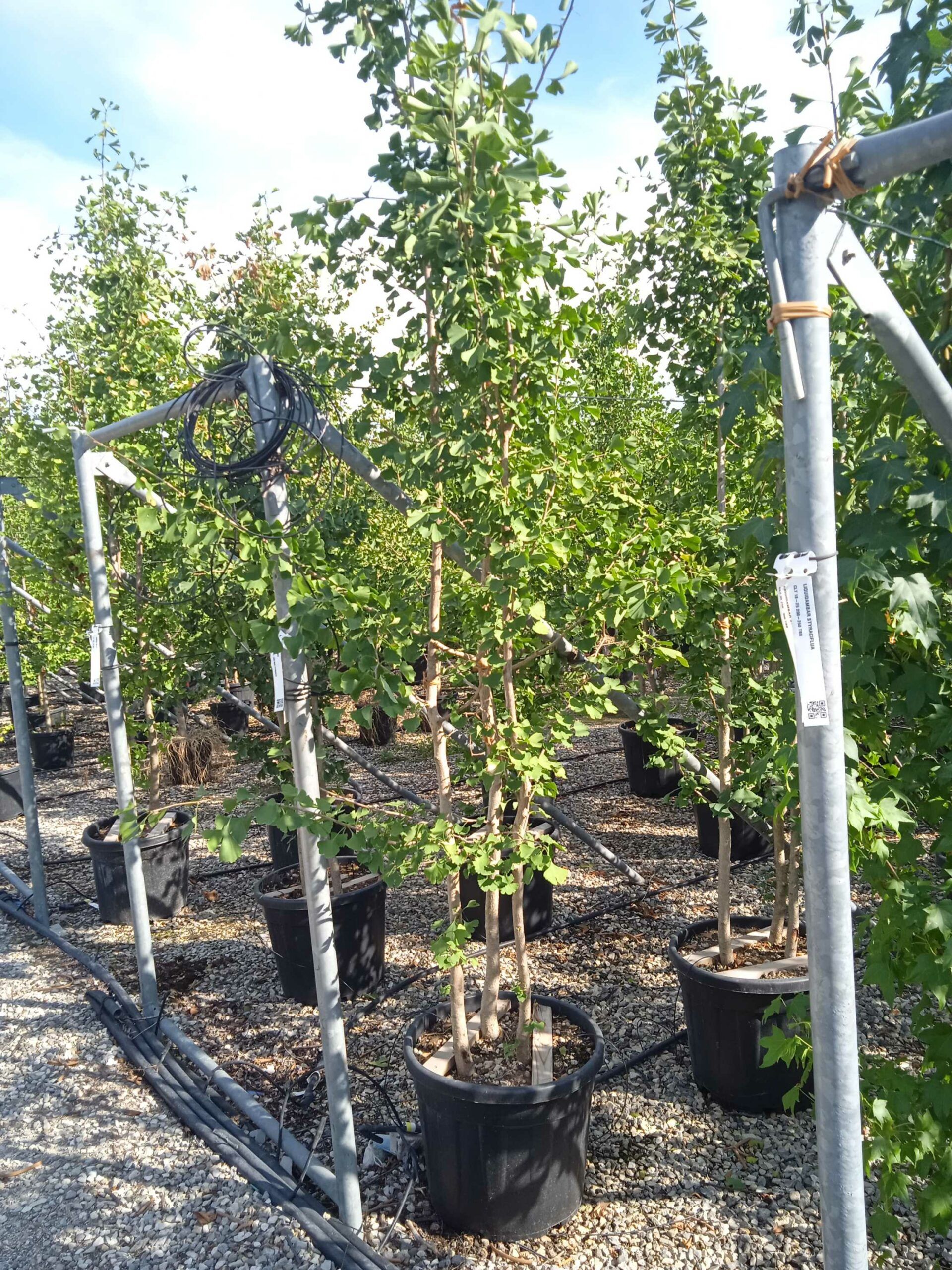 1662043572 scaled d530ca59