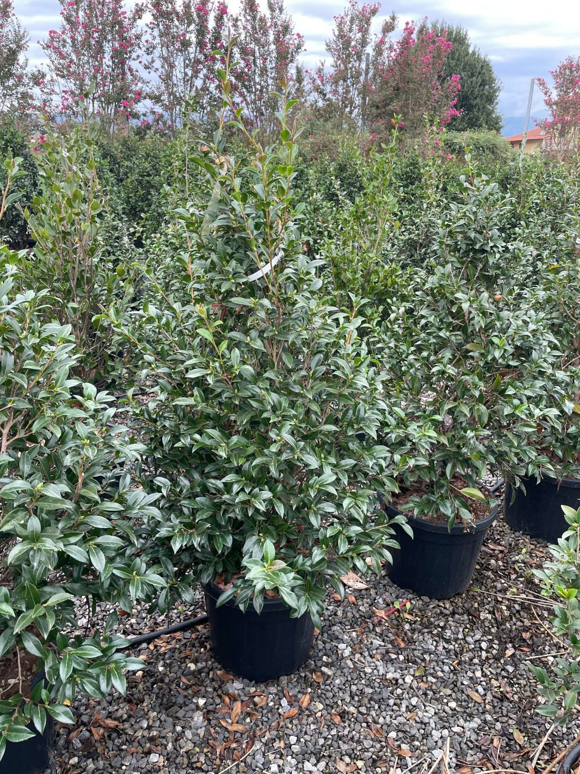 1695218280 scaled d5a48aae