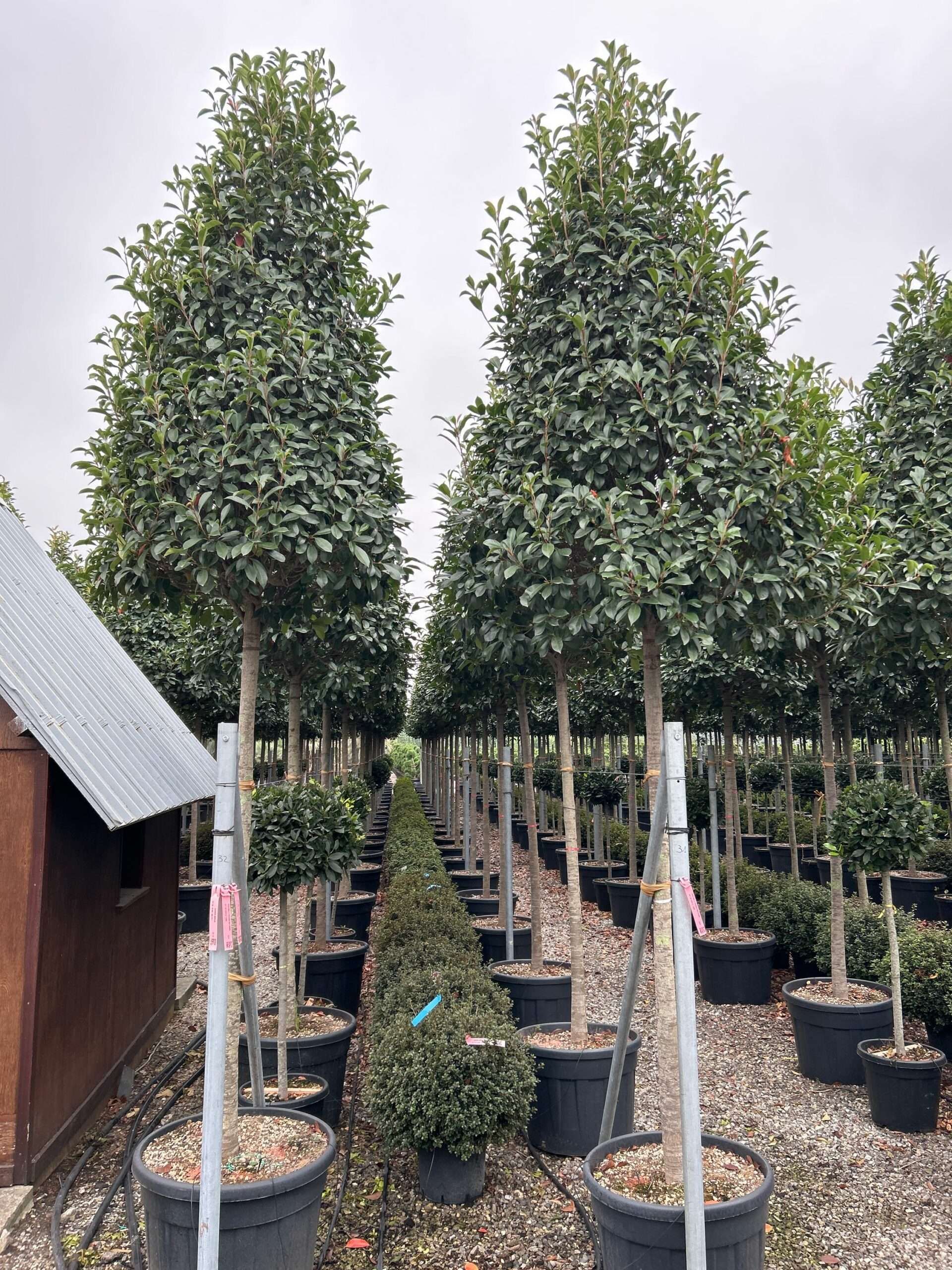 1696841633 scaled d53d6ed1